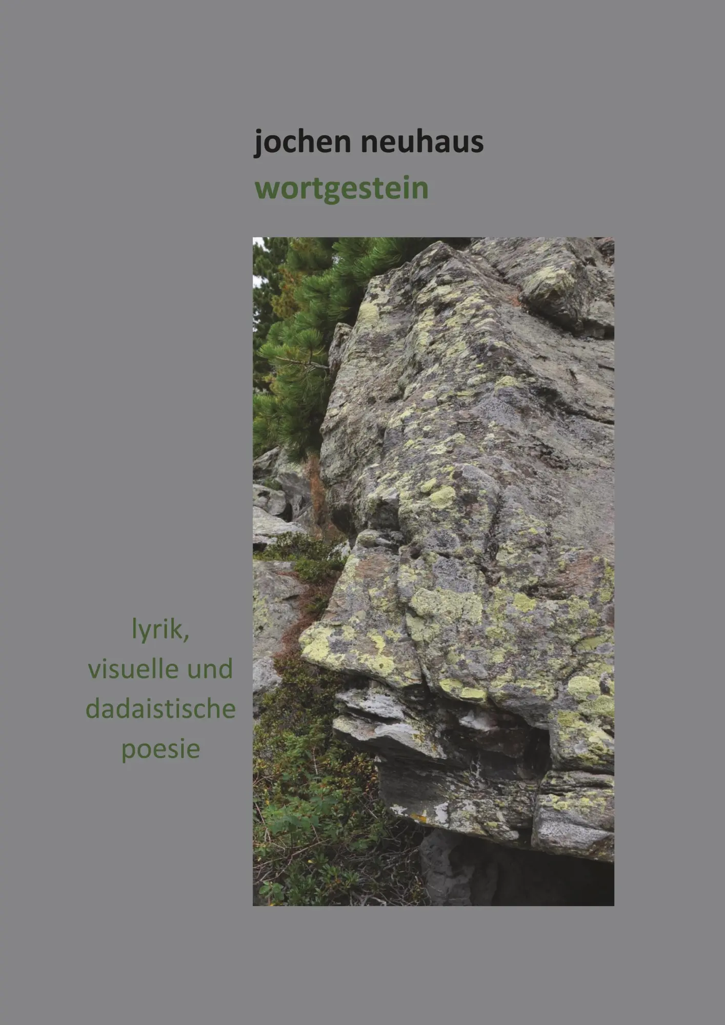Cover: 9783961033317 | Wortgestein | Jochen Neuhaus | Taschenbuch | 162 S. | Deutsch | 2018