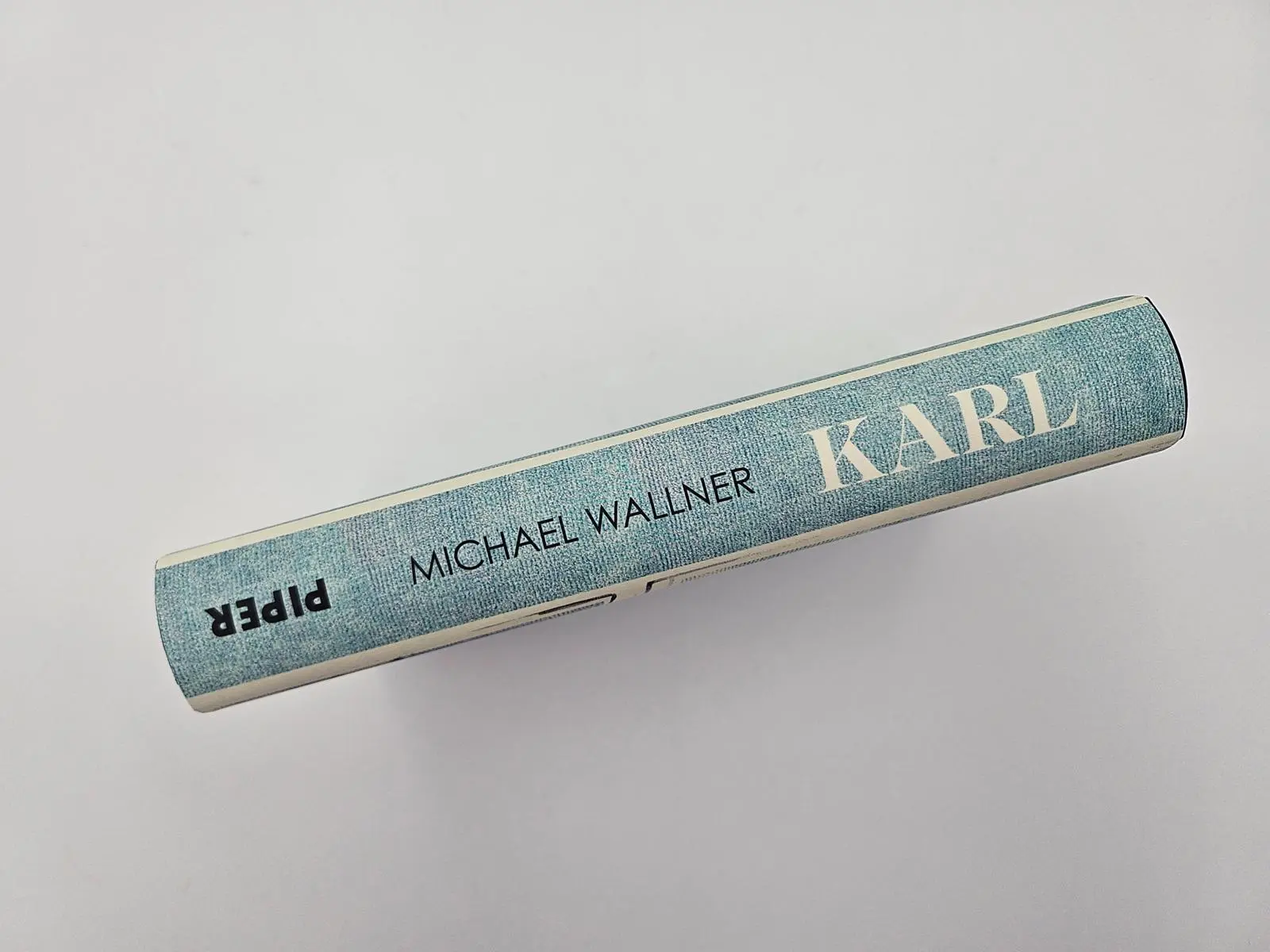 Bild: 9783492073417 | Karl | Michael Wallner | Buch | 288 S. | Deutsch | 2025