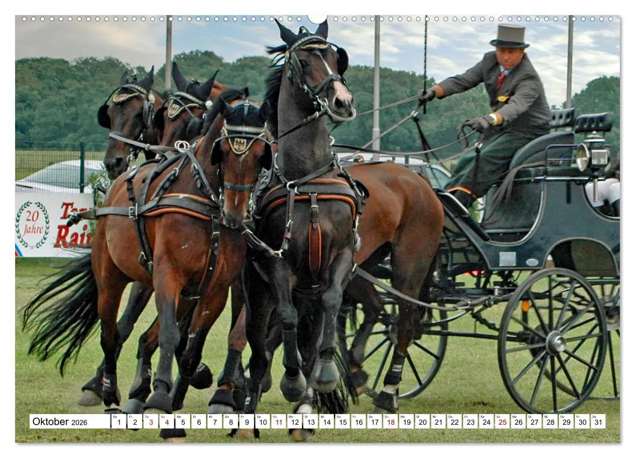 Bild: 9783457583517 | Vierspänner Herausforderung Fahrsport (Wandkalender 2026 DIN A2...