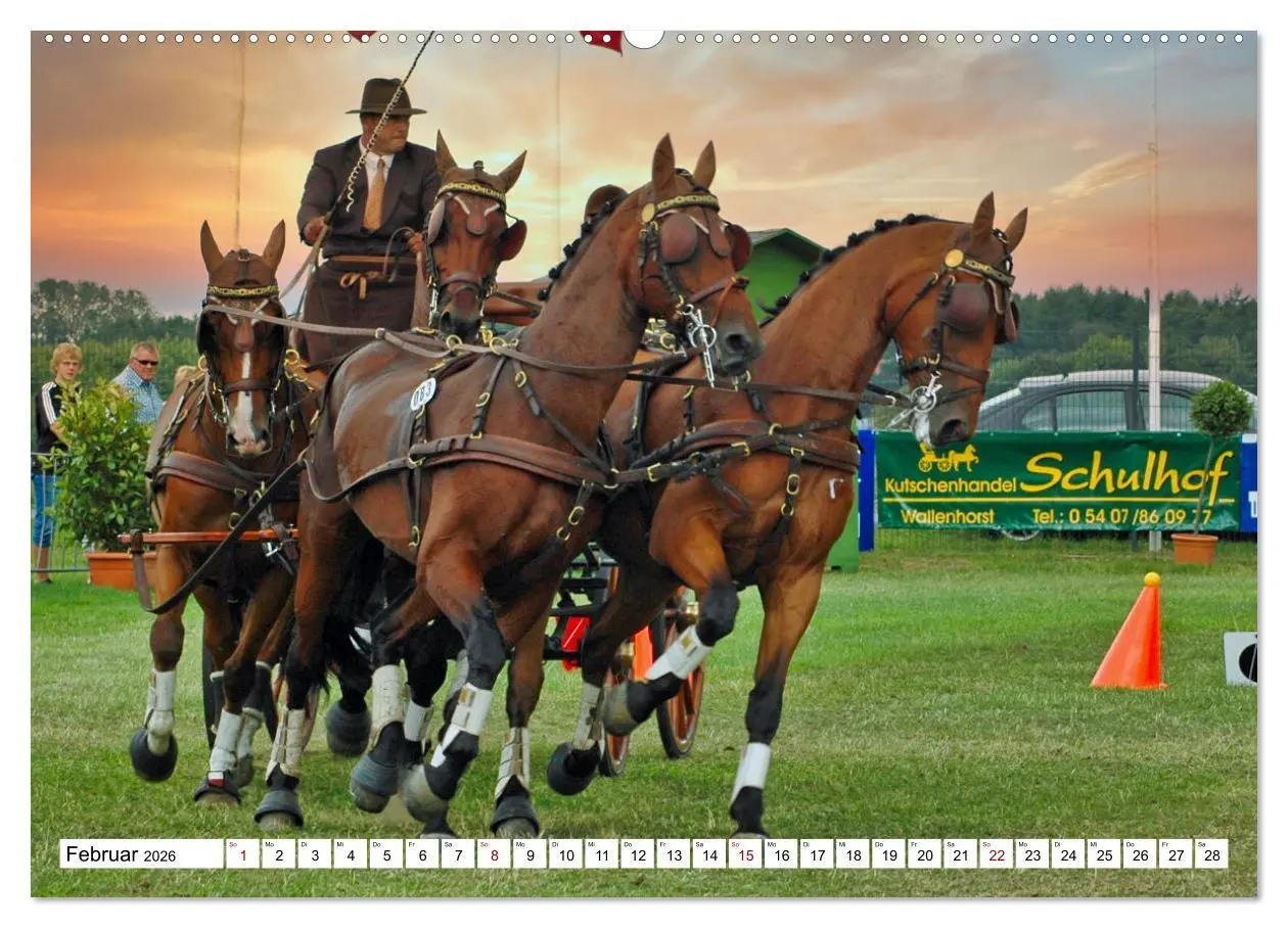 Bild: 9783457583517 | Vierspänner Herausforderung Fahrsport (Wandkalender 2026 DIN A2...