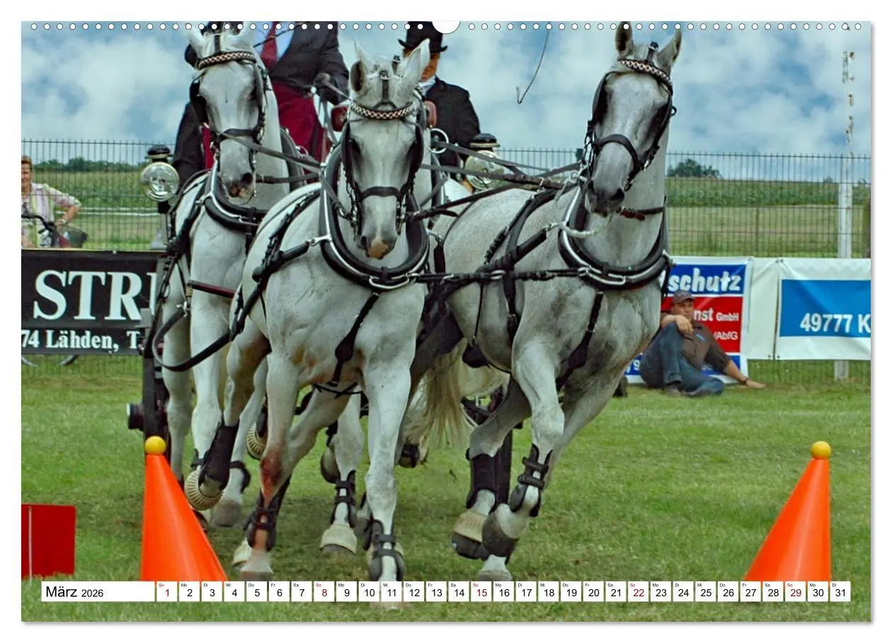 Bild: 9783457583517 | Vierspänner Herausforderung Fahrsport (Wandkalender 2026 DIN A2...