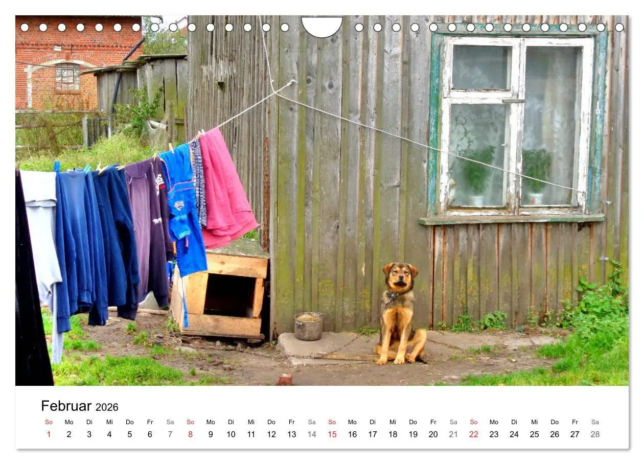 Bild: 9783457893517 | Elchniederung - Naturparadies in Ostpreußen (Wandkalender 2026 DIN...