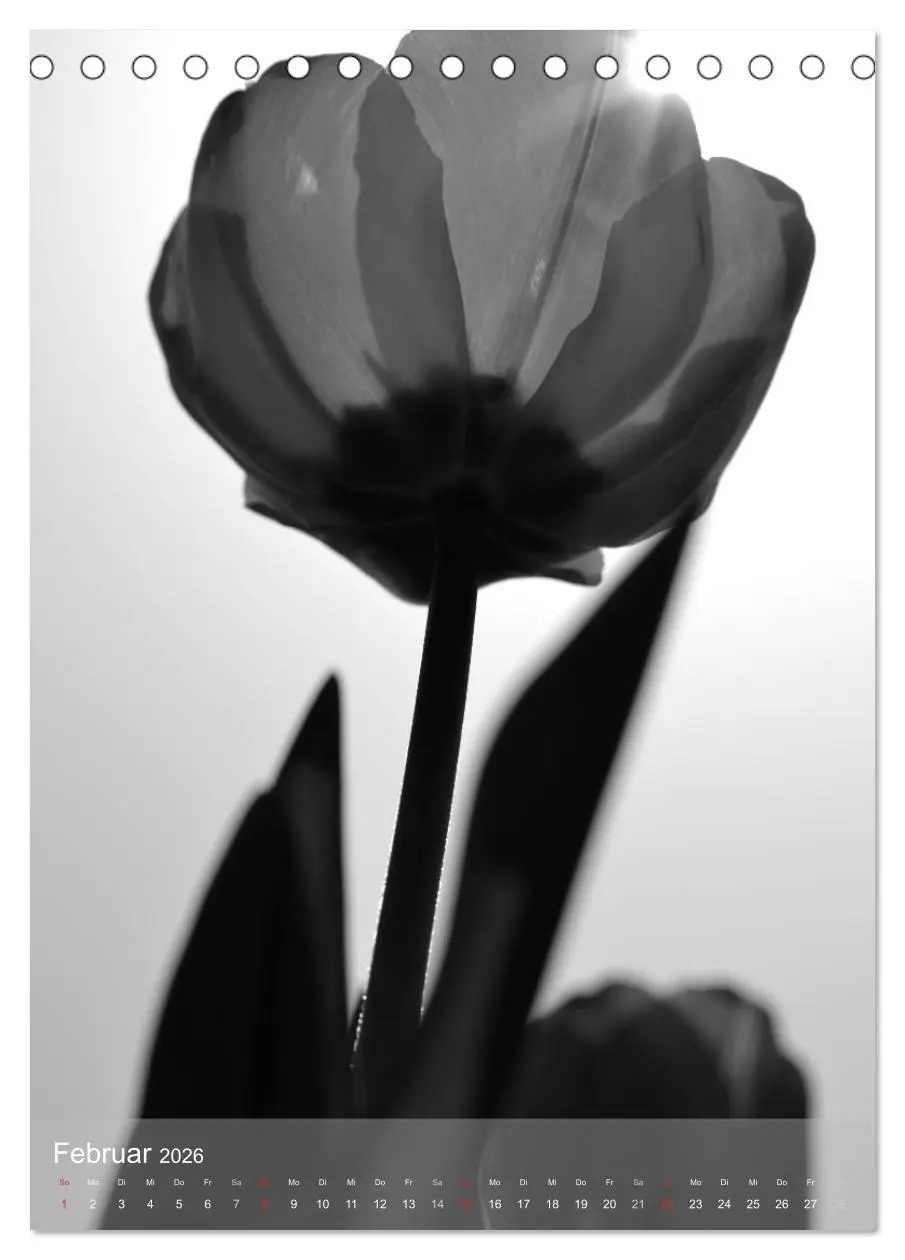 Bild: 9783516433517 | Monochrome Blüten - In Schwarz-Weiß Bildern durch das Jahr...