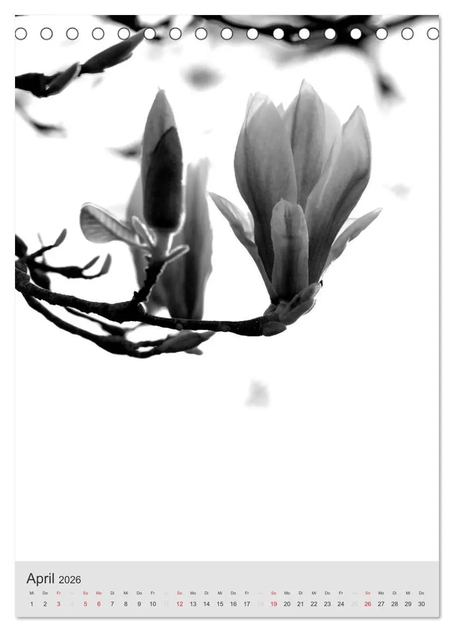 Bild: 9783516433517 | Monochrome Blüten - In Schwarz-Weiß Bildern durch das Jahr...