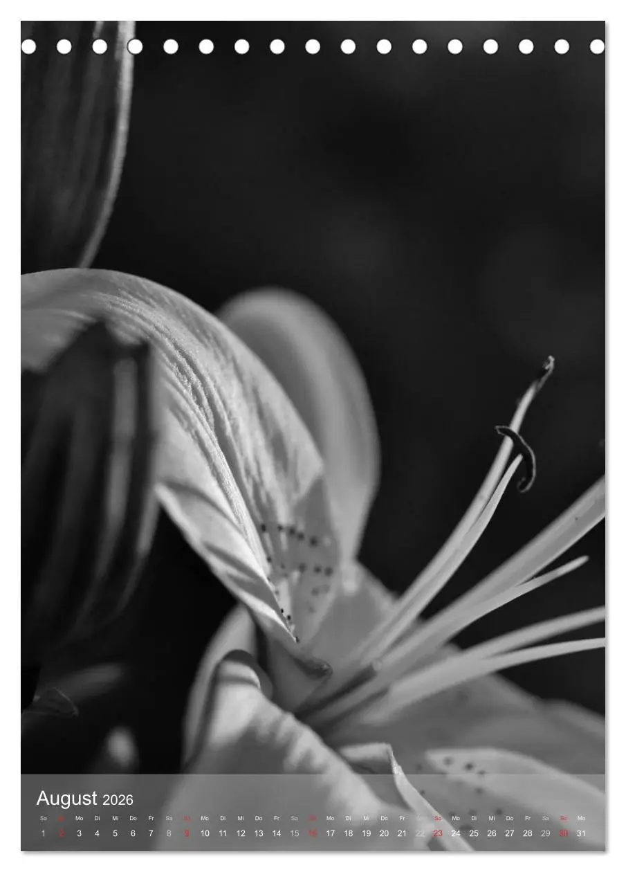 Bild: 9783516433517 | Monochrome Blüten - In Schwarz-Weiß Bildern durch das Jahr...