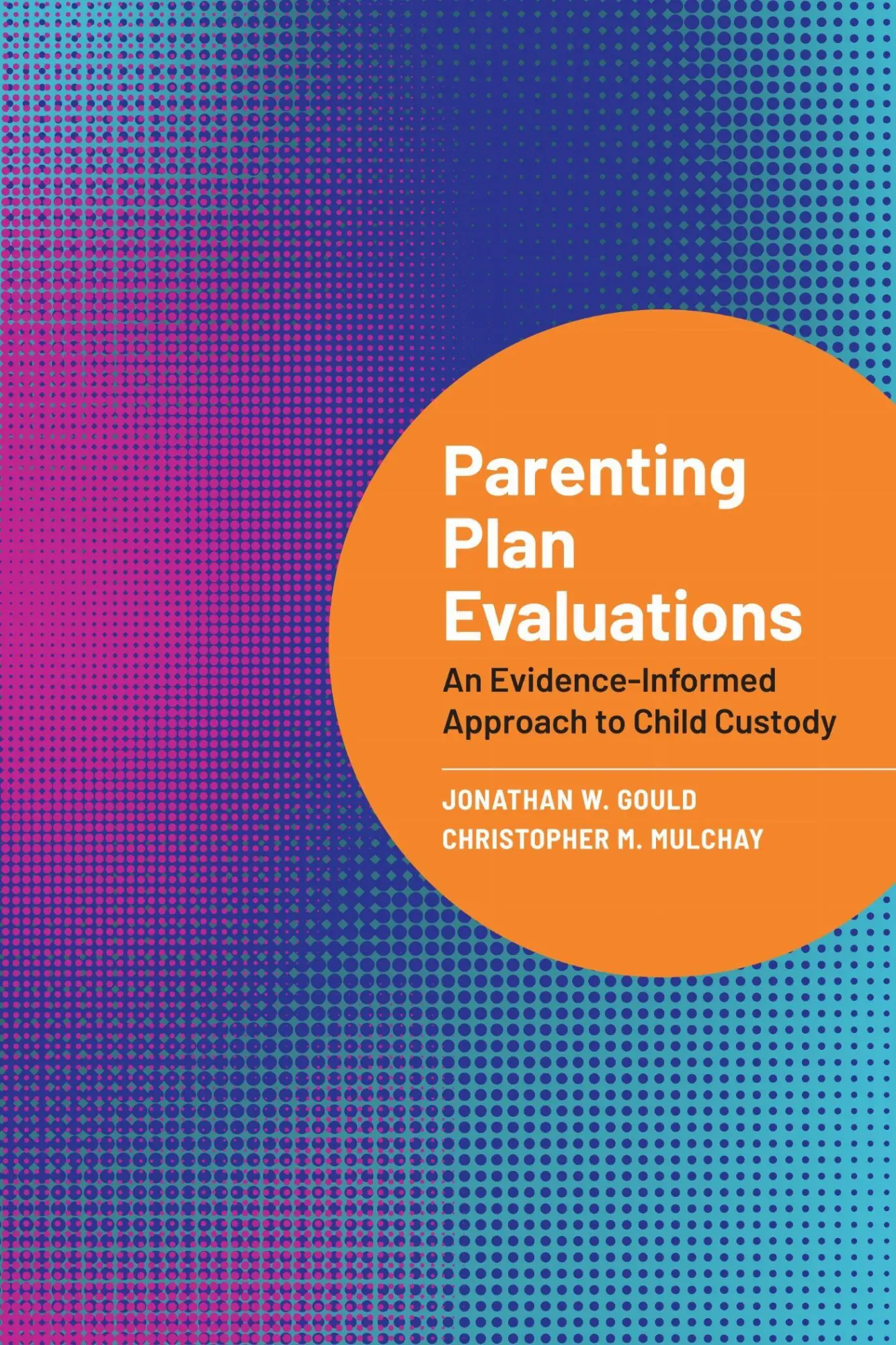 Cover: 9781433843617 | Parenting Plan Evaluations | Christopher M. Mulchay (u. a.) | Buch