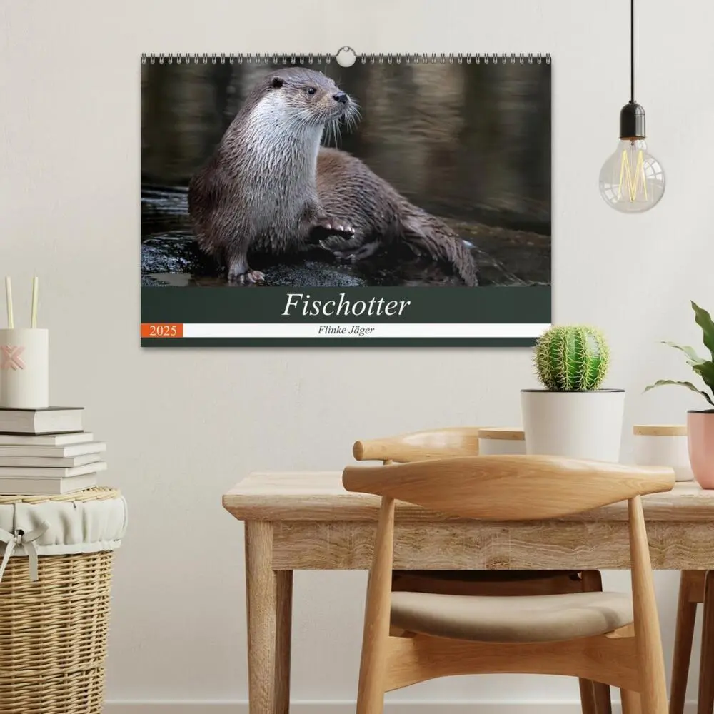 Bild: 9783435483617 | Fischotter, flinke Jäger (Wandkalender 2025 DIN A3 quer), CALVENDO...