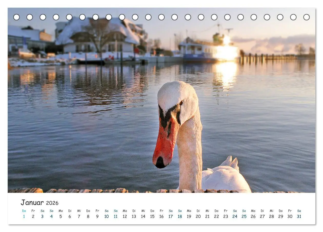 Bild: 9783457883617 | Südost Rügen 2026 (Tischkalender 2026 DIN A5 quer), CALVENDO...