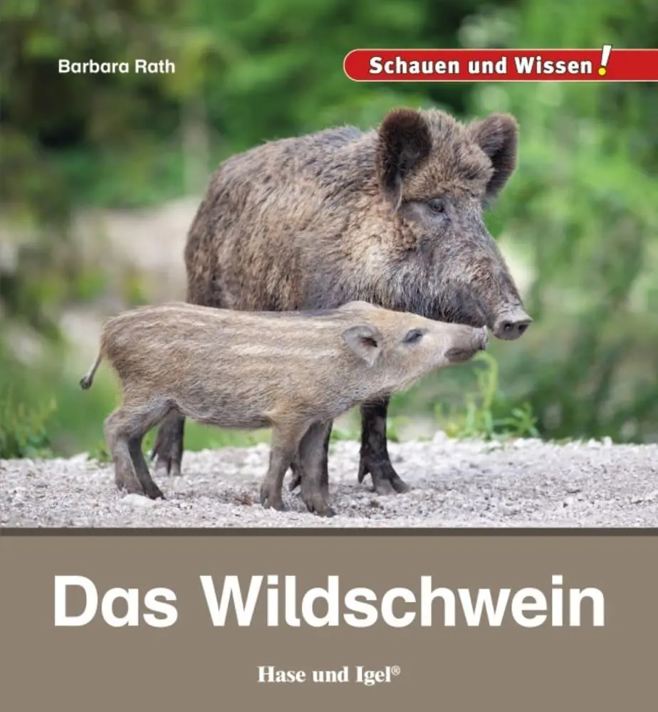 Cover: 9783863163617 | Das Wildschwein | Schauen und Wissen! | Barbara Rath | Buch | 34 S.