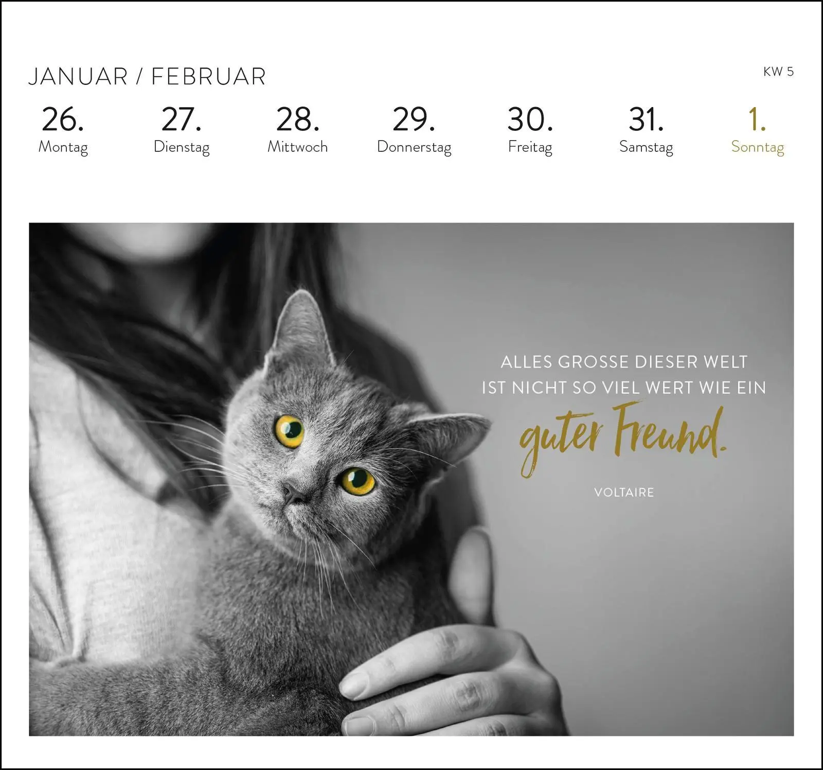 Bild: 4036442013717 | Postkartenkalender 2026: Inspirierende Worte für Katzenfreunde | 53 S.