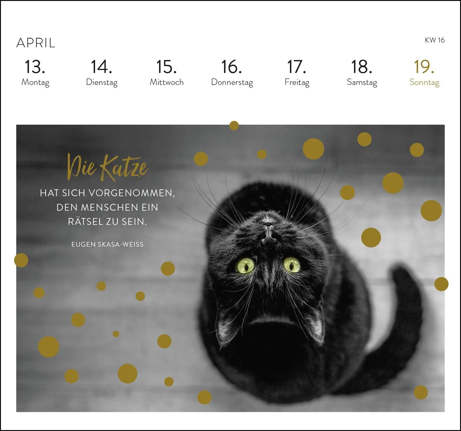 Bild: 4036442013717 | Postkartenkalender 2026: Inspirierende Worte für Katzenfreunde | 53 S.