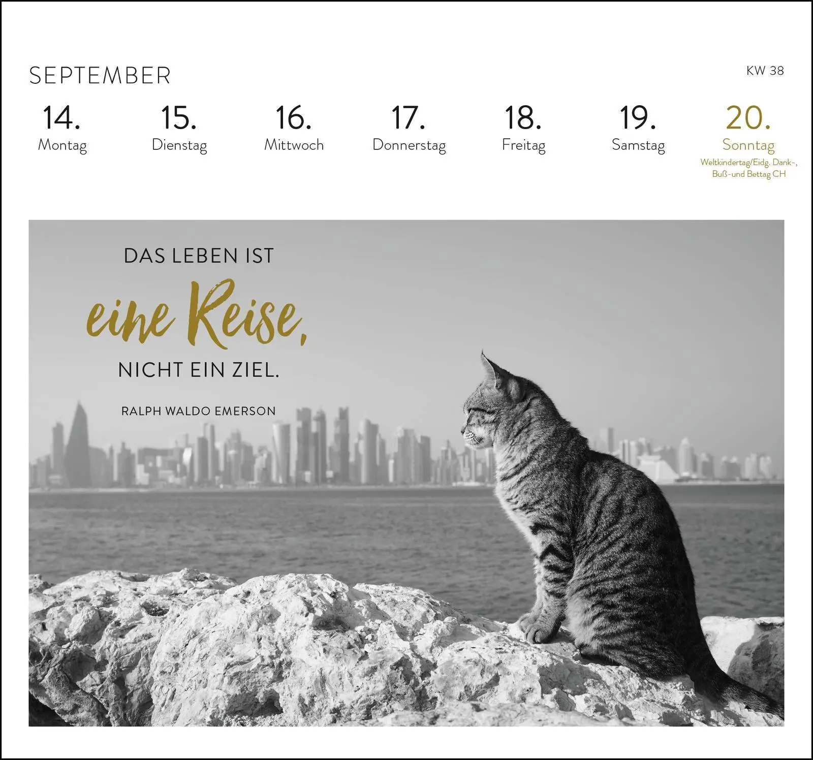 Bild: 4036442013717 | Postkartenkalender 2026: Inspirierende Worte für Katzenfreunde | 53 S.