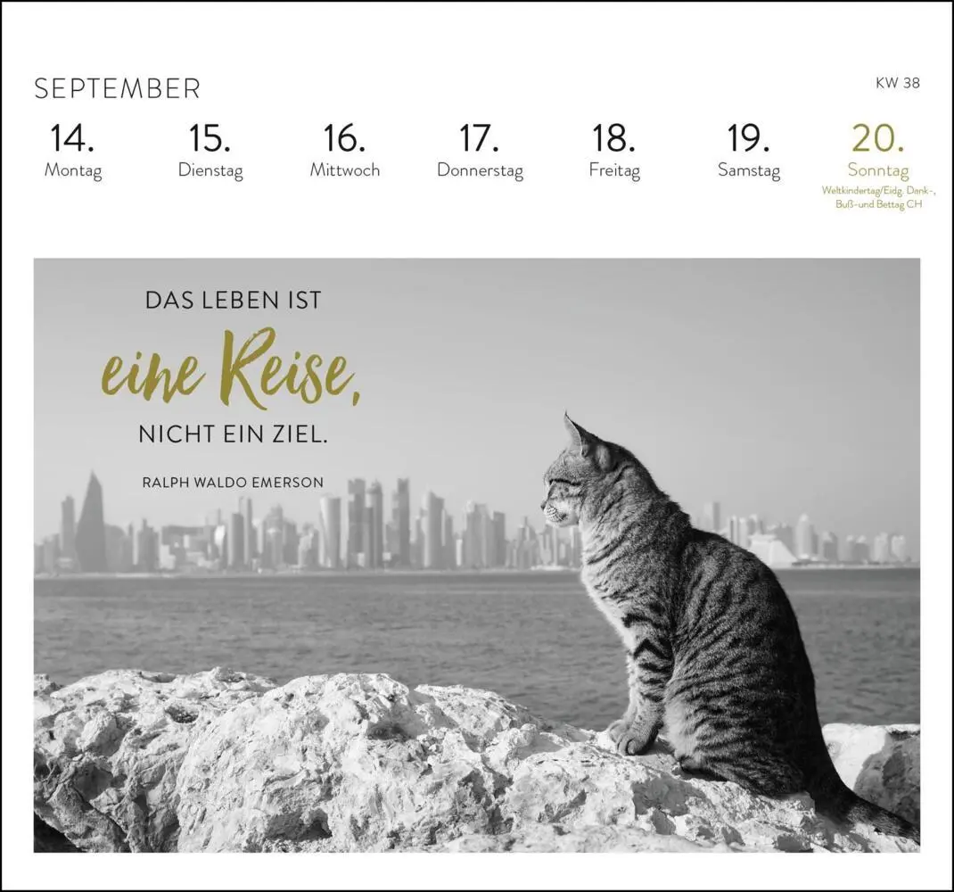 Bild: 4036442013717 | Postkartenkalender 2026: Inspirierende Worte für Katzenfreunde | 2026