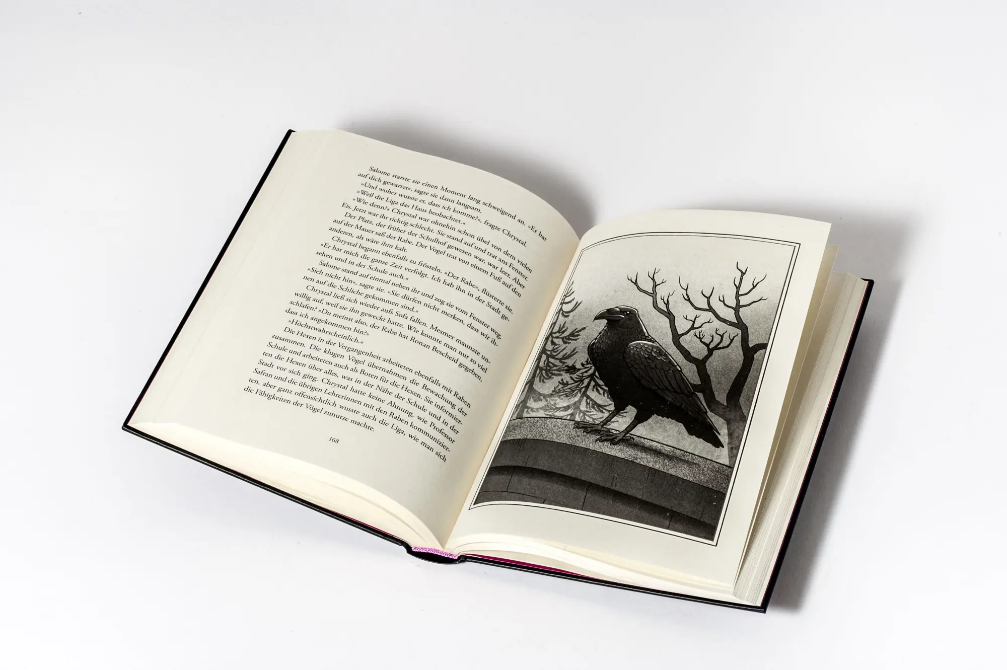Bild: 9783570183717 | School of Witches - Die Zeit der Hexen | Gina Mayer | Buch | 240 S.
