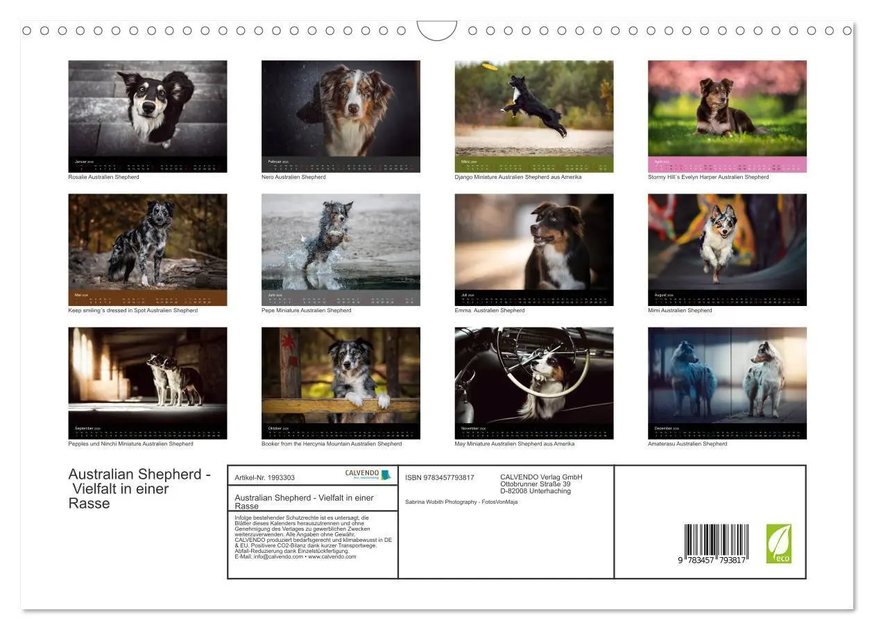 Bild: 9783457793817 | Australian Shepherd - Vielfalt in einer Rasse (Wandkalender 2026...