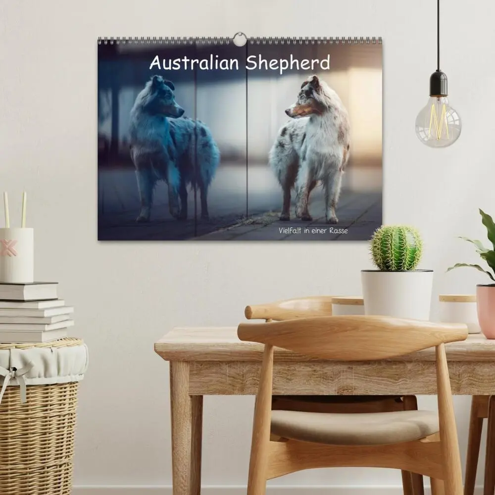 Bild: 9783457793817 | Australian Shepherd - Vielfalt in einer Rasse (Wandkalender 2026...