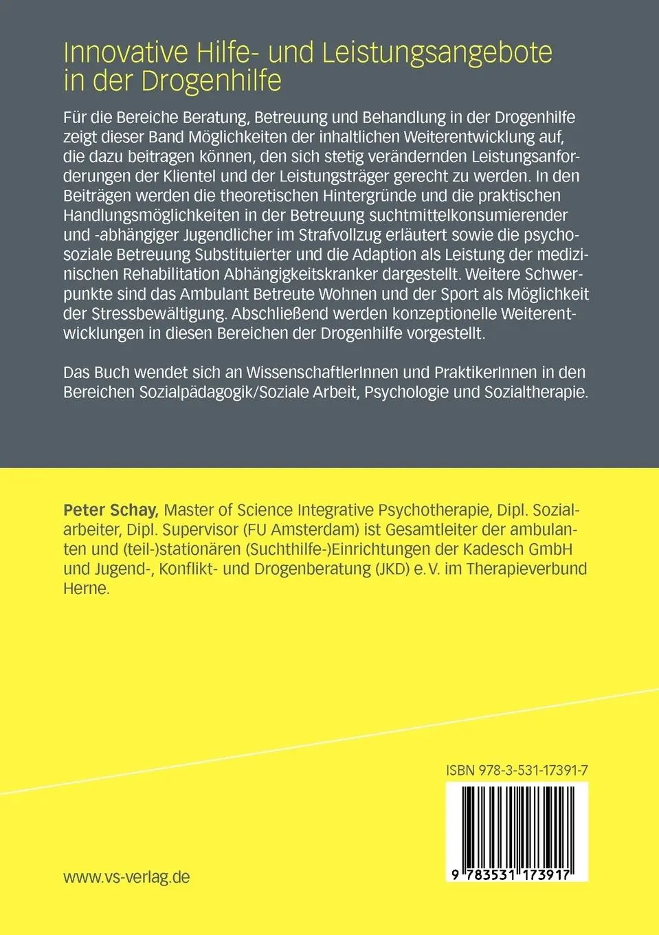 Rückseite: 9783531173917 | Innovative Hilfe- und Leistungsangebote in der Drogenhilfe | Schay