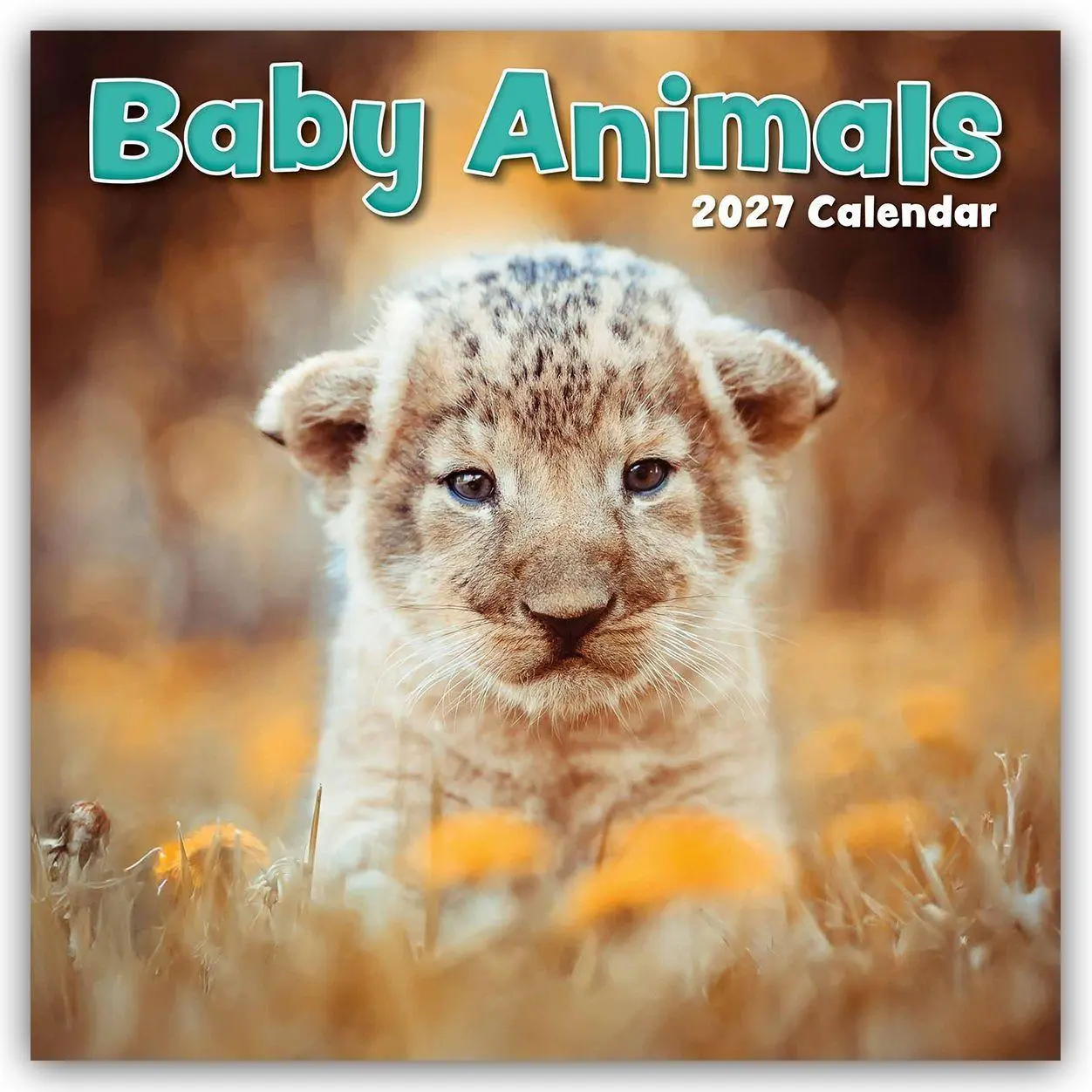 Cover: 9781805974017 | Baby Animals - Tierkinder 2027 - 16-Monatskalender | Ltd | Kalender