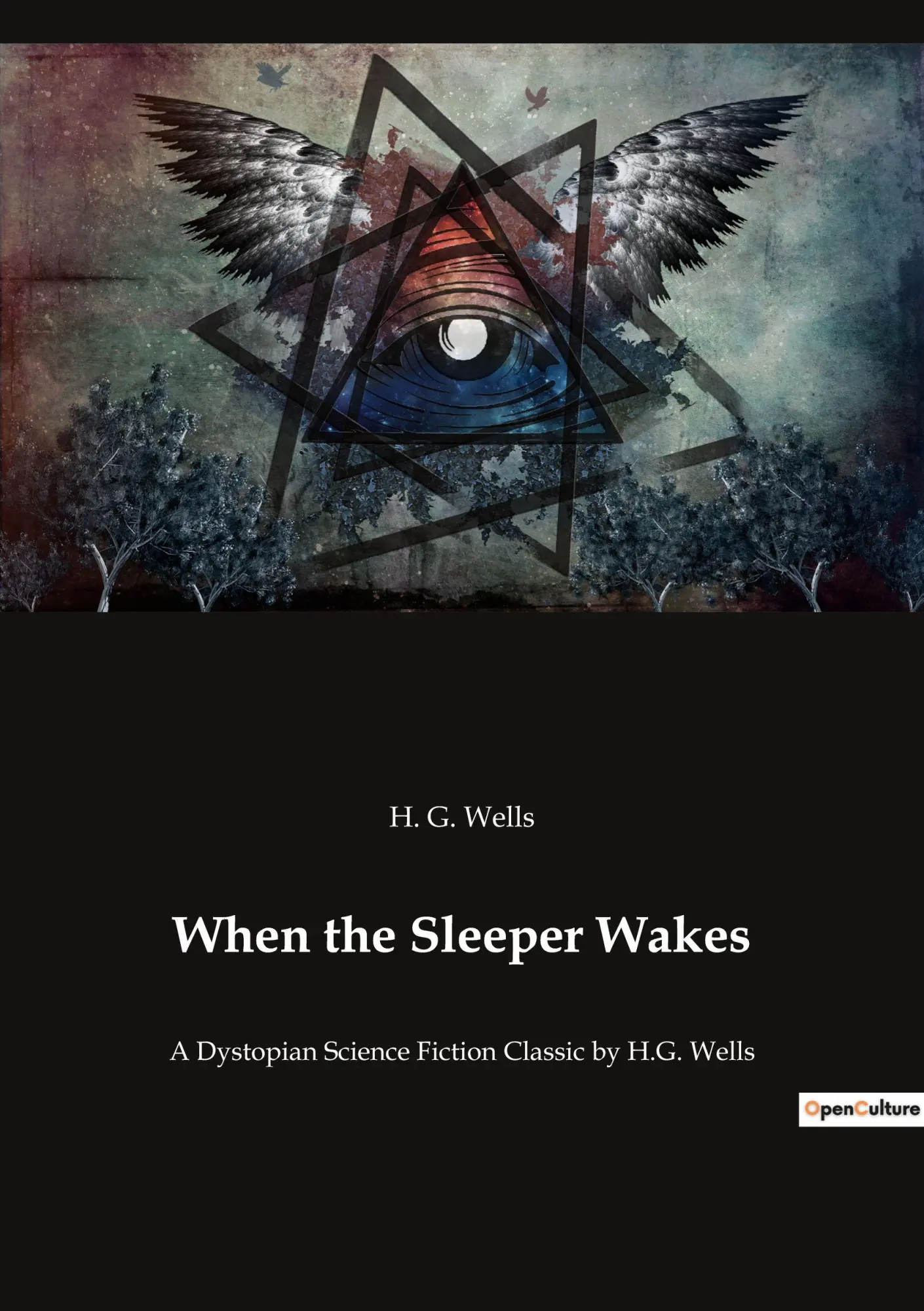 Cover: 9782382744017 | When the Sleeper Wakes | H. G. Wells | Taschenbuch | Englisch | 2022