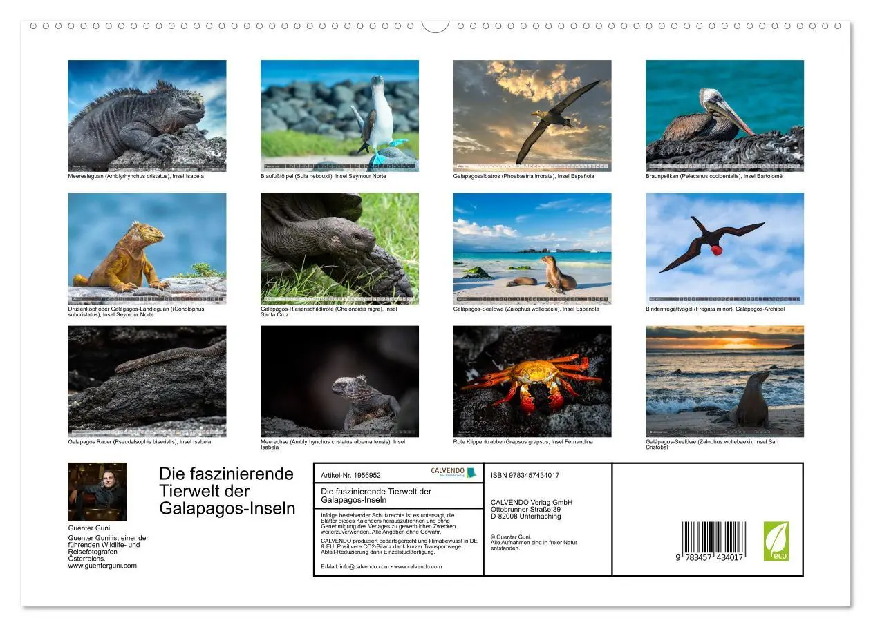 Bild: 9783457434017 | Die faszinierende Tierwelt der Galapagos-Inseln (hochwertiger...