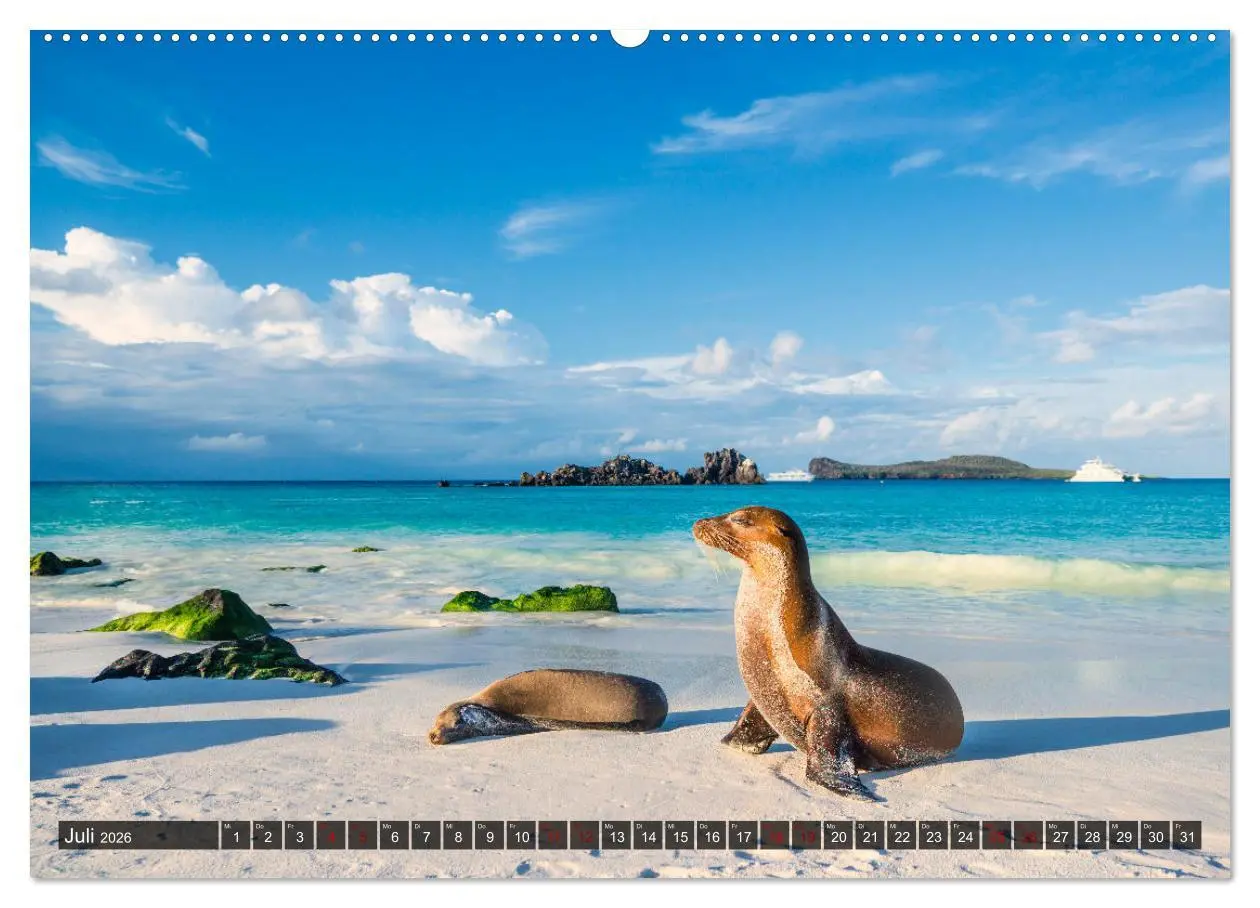 Bild: 9783457434017 | Die faszinierende Tierwelt der Galapagos-Inseln (hochwertiger...