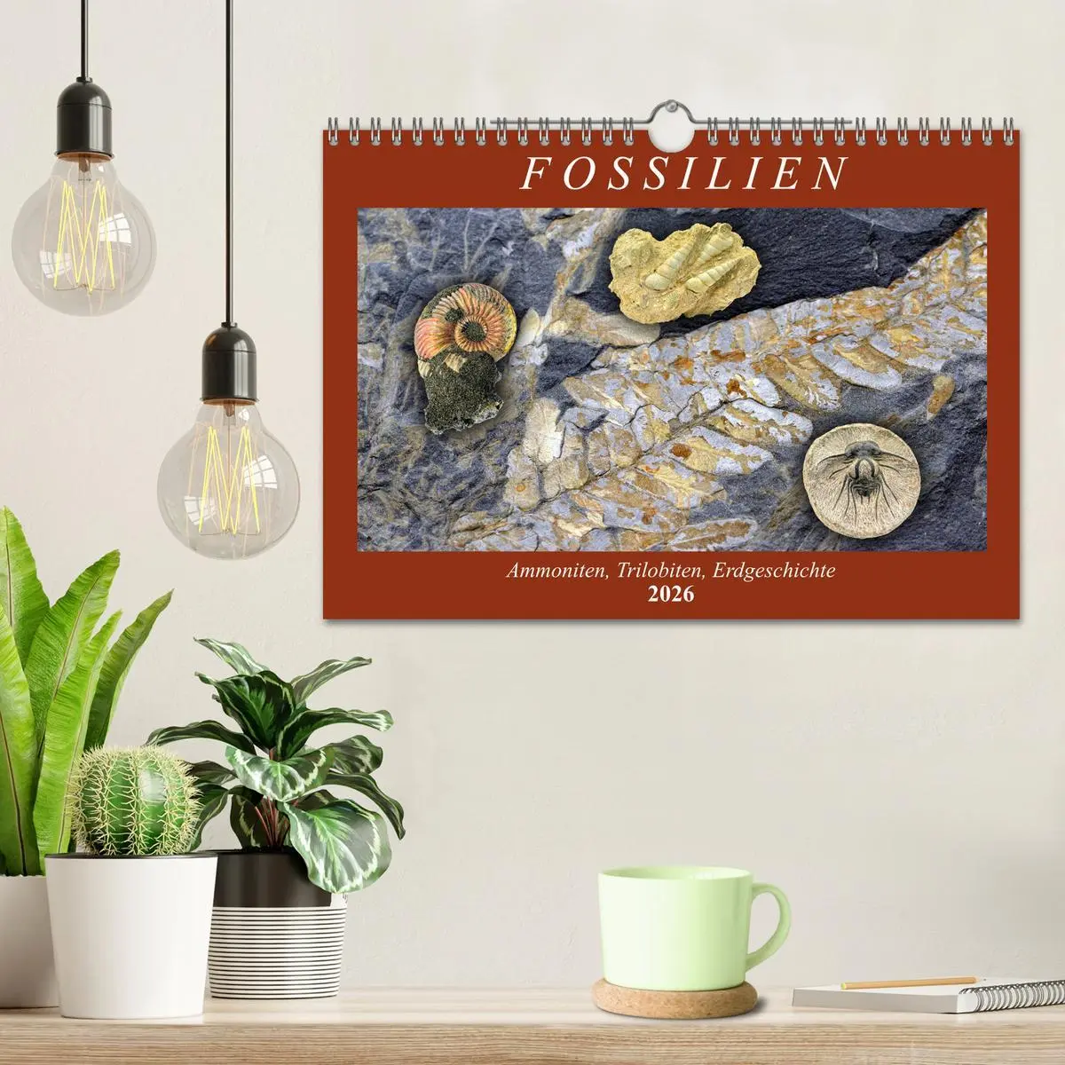 Bild: 9783457814017 | Fossilien - Ammoniten, Trilobiten, Erdgeschichte (Wandkalender 2026...