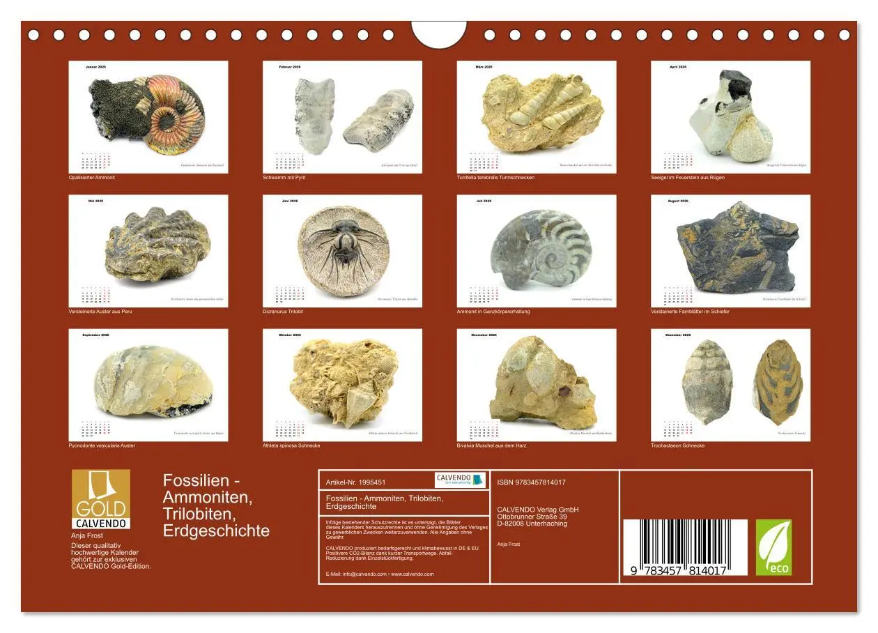 Bild: 9783457814017 | Fossilien - Ammoniten, Trilobiten, Erdgeschichte (Wandkalender 2026...