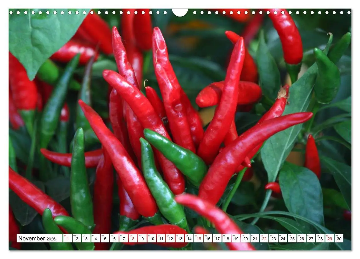 Bild: 9783457984017 | Für Chili Liebhaber (Wandkalender 2026 DIN A3 quer), CALVENDO...