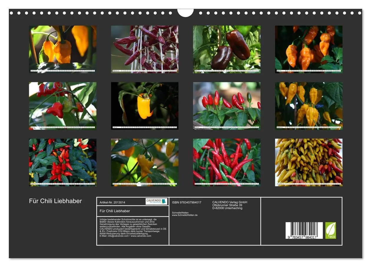 Bild: 9783457984017 | Für Chili Liebhaber (Wandkalender 2026 DIN A3 quer), CALVENDO...