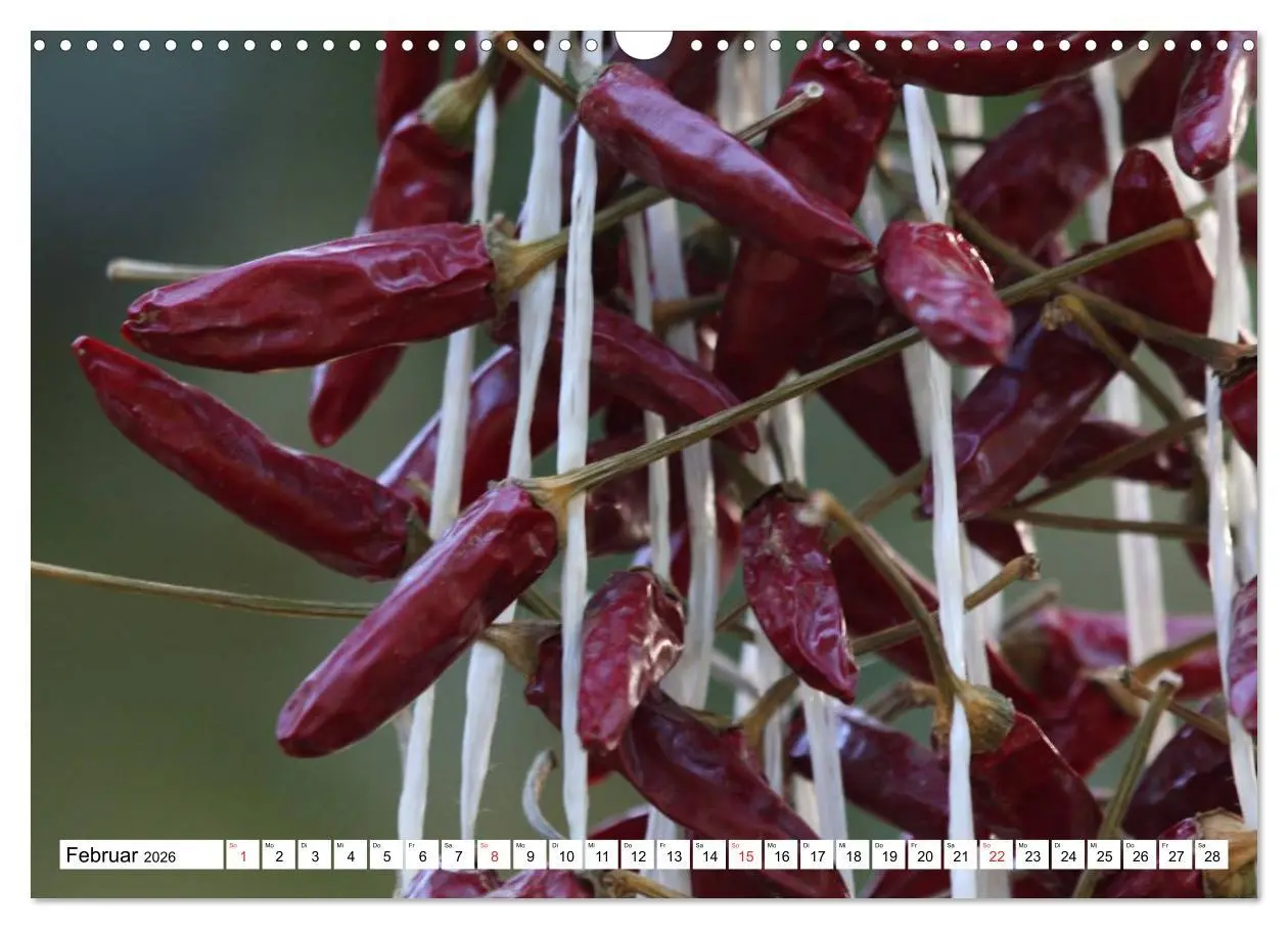 Bild: 9783457984017 | Für Chili Liebhaber (Wandkalender 2026 DIN A3 quer), CALVENDO...