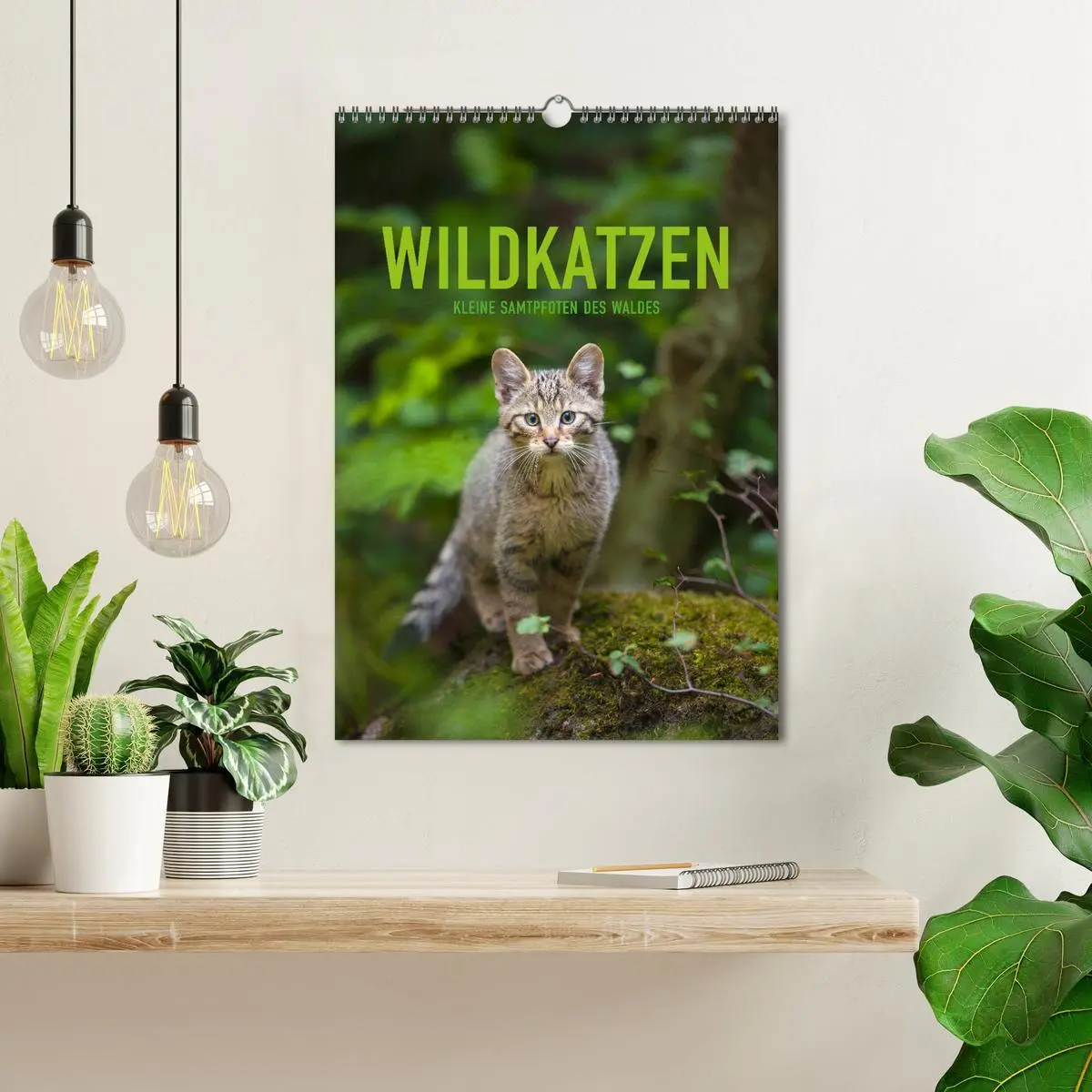 Bild: 9783516384017 | Wildkatzen - Kleine Samtpfoten des Waldes (Wandkalender 2026 DIN A3...