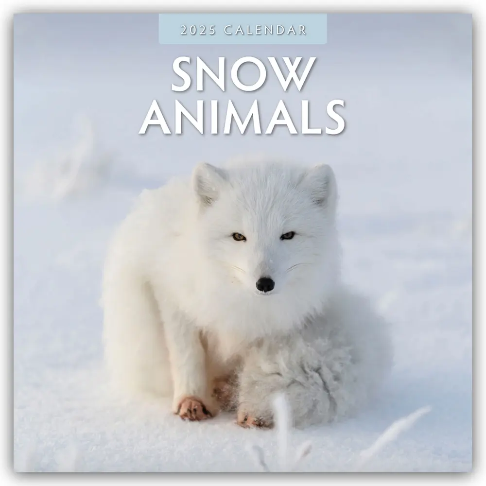 Cover: 9781804424117 | Snow Animals - Arktische Tiere 2025 - 16-Monatskalender | Ltd | 14 S.