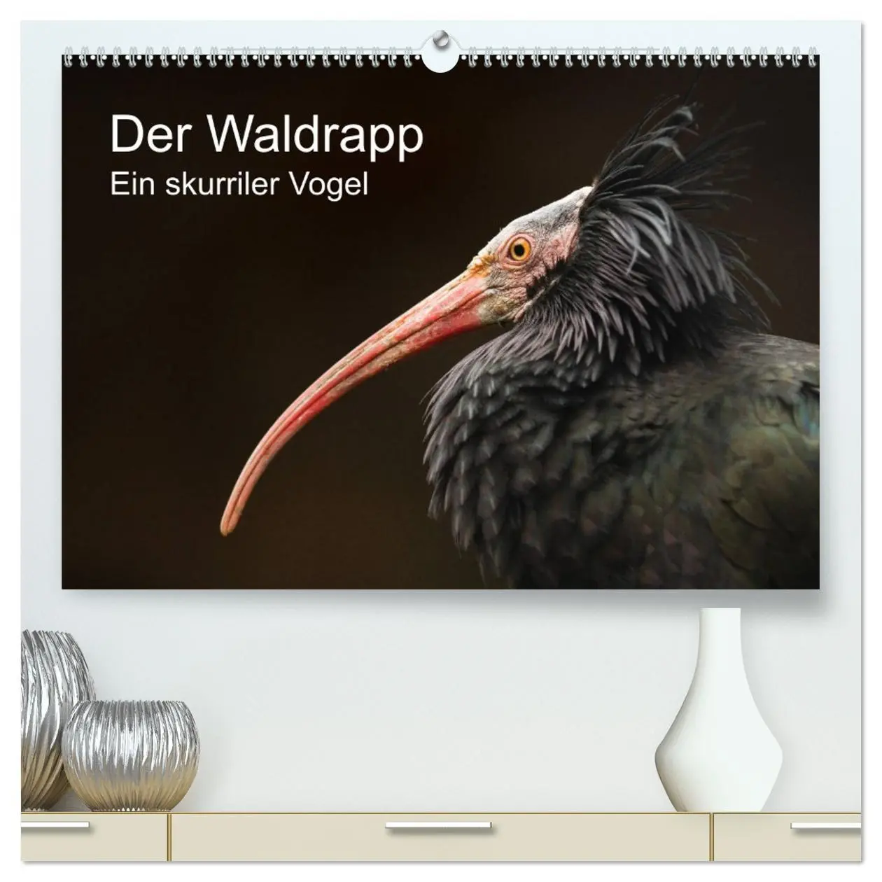 Cover: 9783457664117 | Der Waldrapp - Ein skurriler Vogel (hochwertiger Premium...