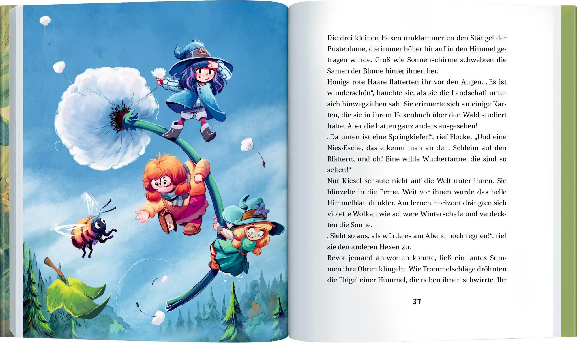 Bild: 9783649654117 | Drei nicht zu kleine Hexen (Bd. 1) | Falk Holzapfel (u. a.) | Buch