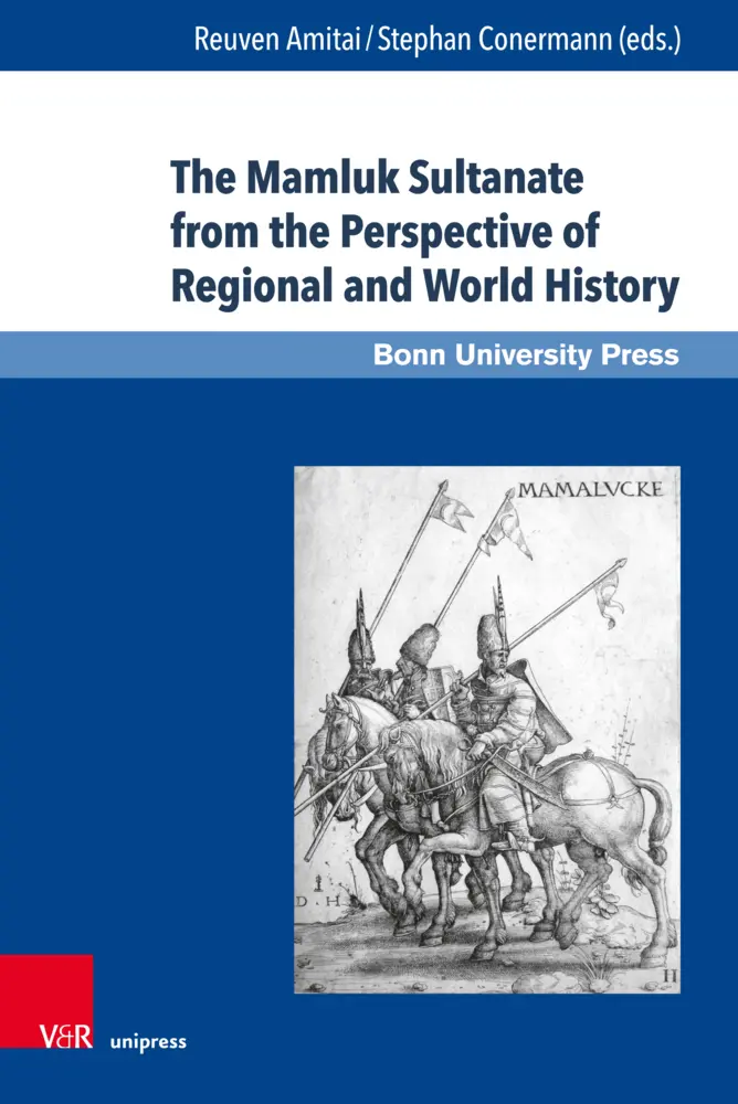 Cover: 9783847104117 | The Mamluk Sultanate from the Perspective of Regional and World...