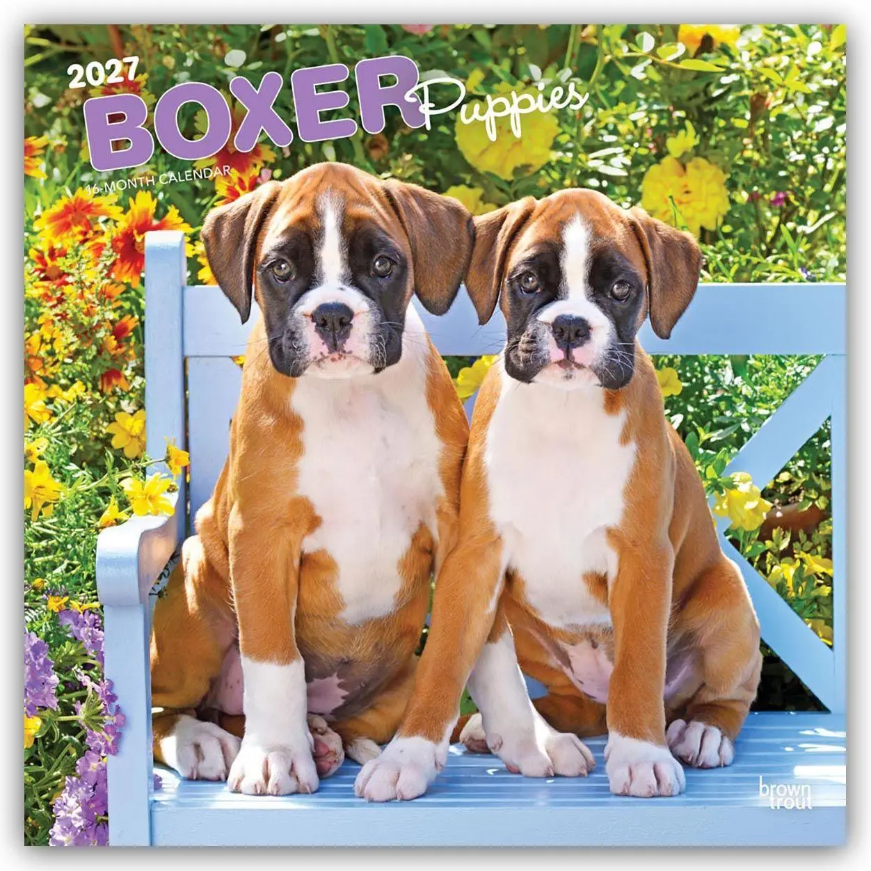 Cover: 9798330714117 | Boxer Puppies - Boxer Welpen 2027 - 16-Monatskalender | Publishers