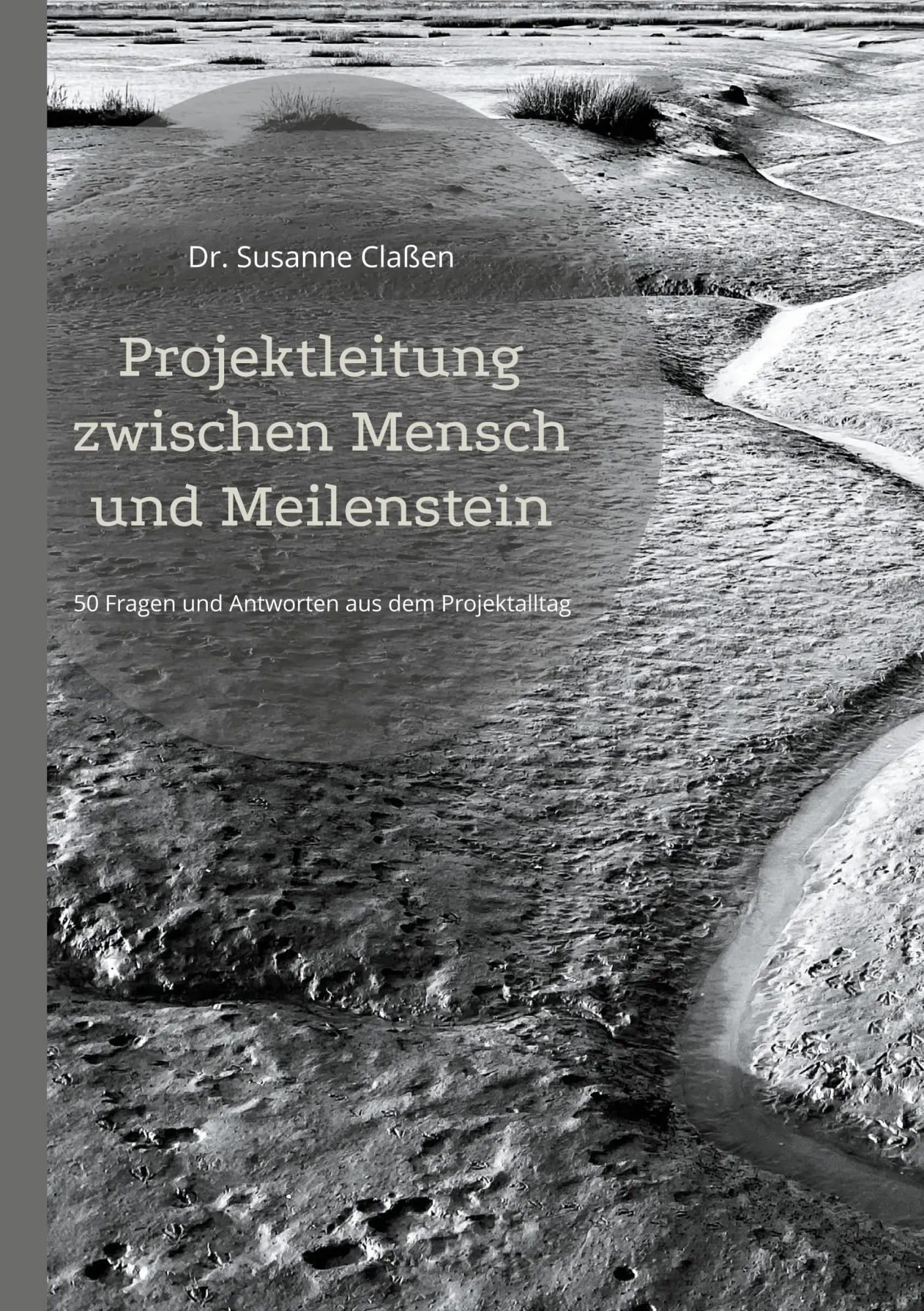 Cover: 9783695184217 | Projektleitung zwischen Mensch und Meilenstein | Susanne Claßen | Buch