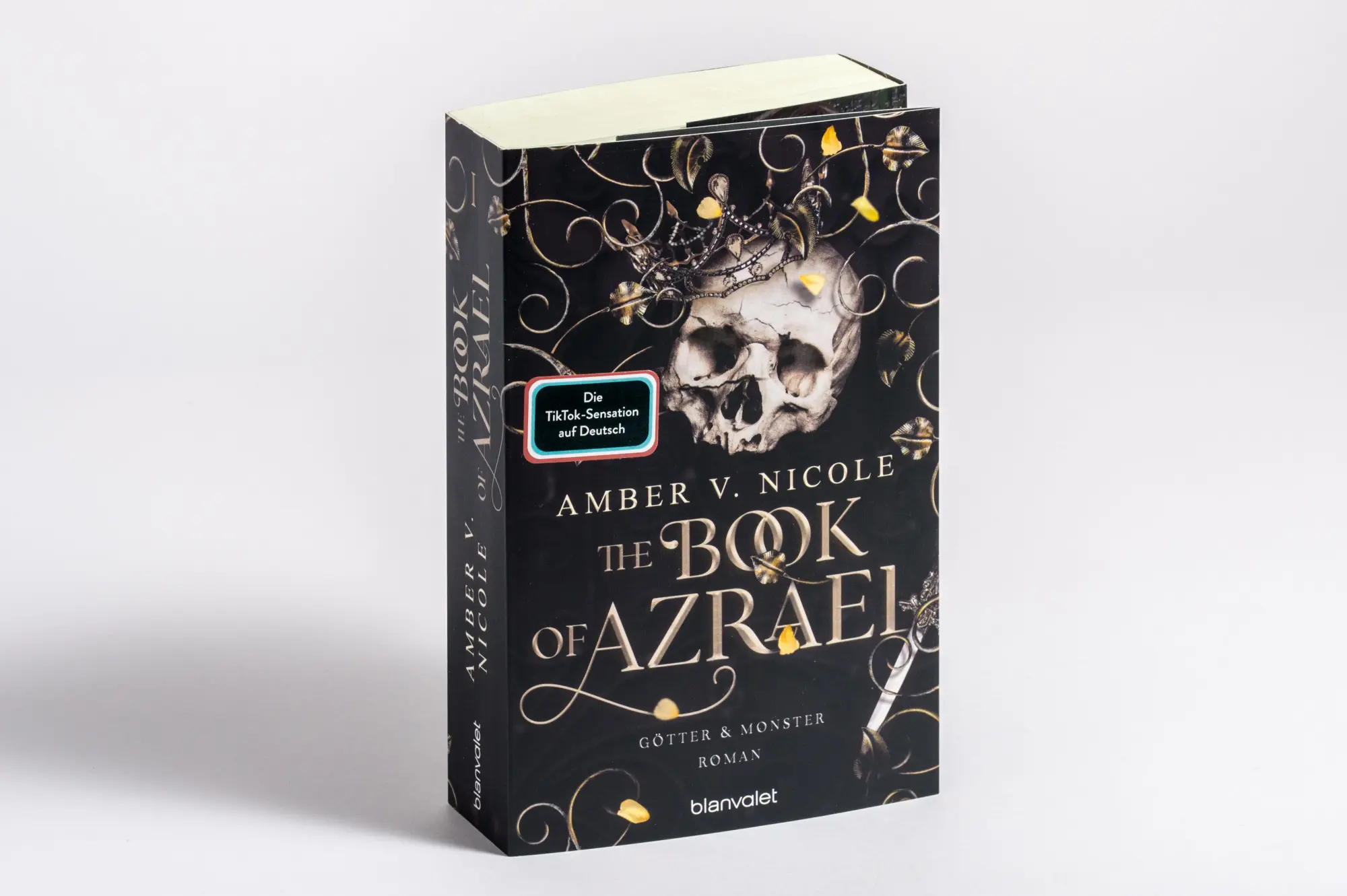 Bild: 9783734164217 | The Book of Azrael - Götter und Monster 1 | Amber V. Nicole | Buch