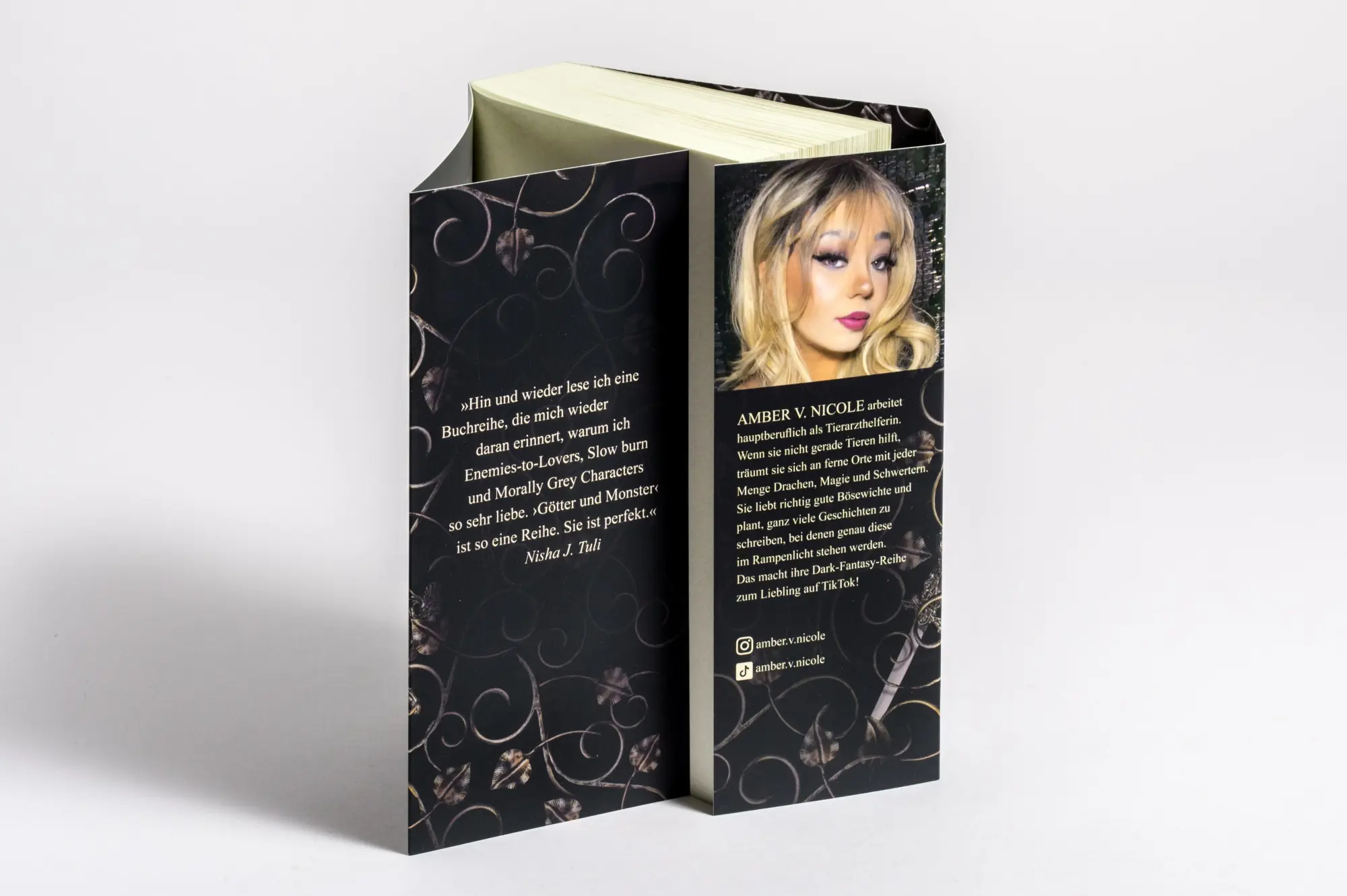 Bild: 9783734164217 | The Book of Azrael - Götter und Monster 1 | Amber V. Nicole | Buch