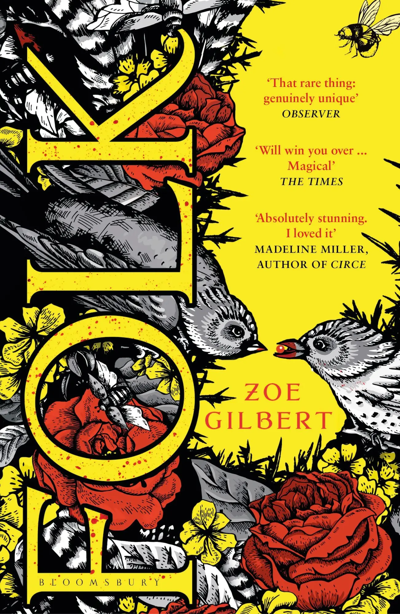 Cover: 9781408884317 | Folk | Zoe Gilbert | Taschenbuch | 256 S. | Englisch | 2019