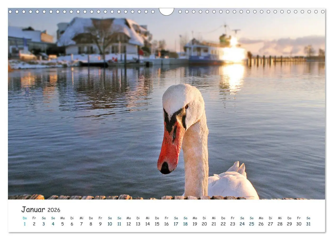 Bild: 9783457884317 | Südost Rügen 2026 (Wandkalender 2026 DIN A3 quer), CALVENDO...