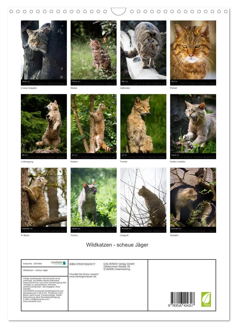 Bild: 9783516424317 | Wildkatzen - scheue Jäger (Wandkalender 2026 DIN A3 hoch), CALVENDO...