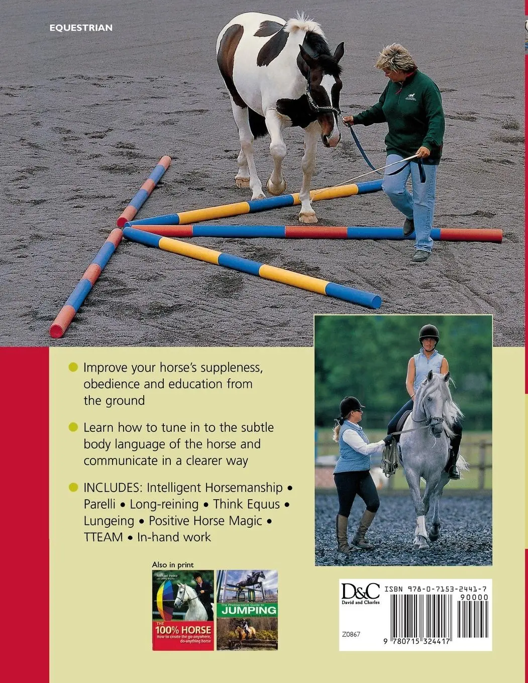 Rückseite: 9780715324417 | Groundwork Training for Your Horse | Lesley Bayley | Taschenbuch