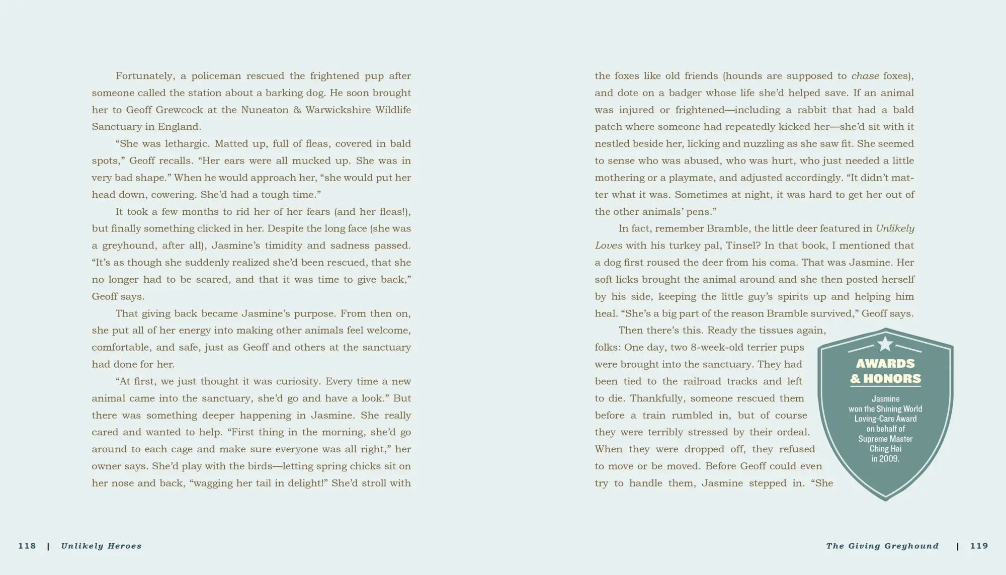 Bild: 9780761174417 | Unlikely Heroes | Jennifer S Holland | Taschenbuch | Englisch | 2014