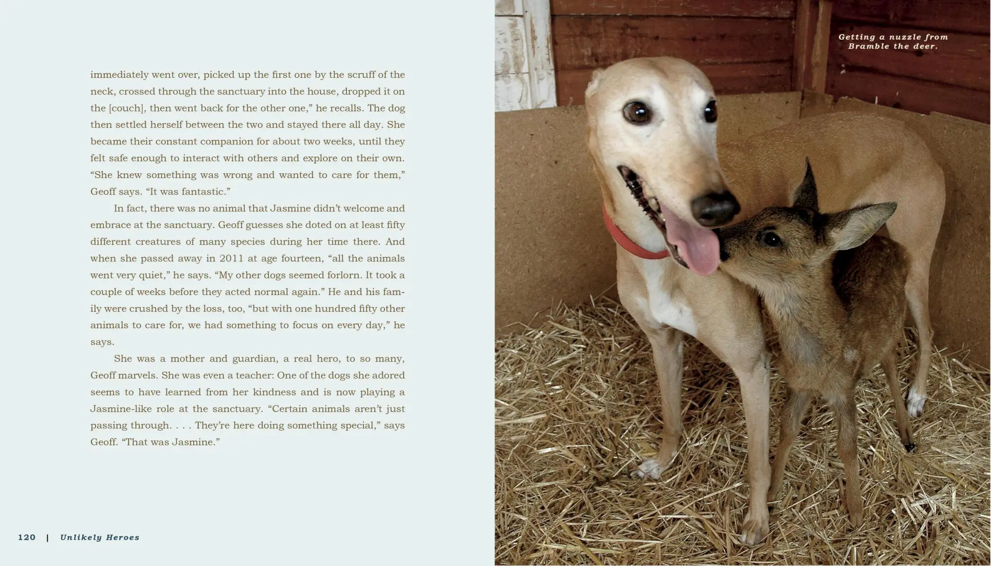 Bild: 9780761174417 | Unlikely Heroes | Jennifer S Holland | Taschenbuch | Englisch | 2014