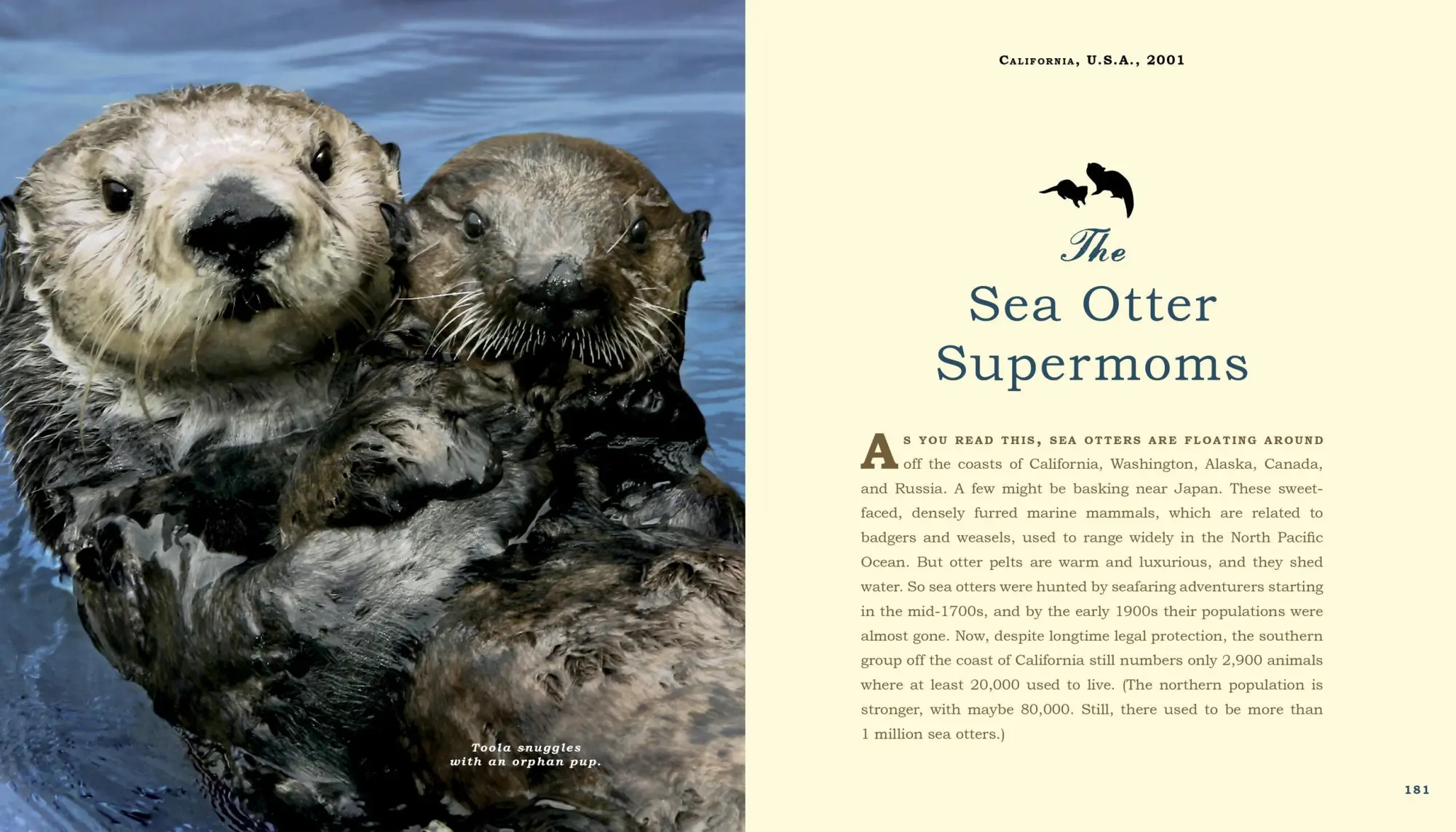 Bild: 9780761174417 | Unlikely Heroes | Jennifer S Holland | Taschenbuch | Englisch | 2014