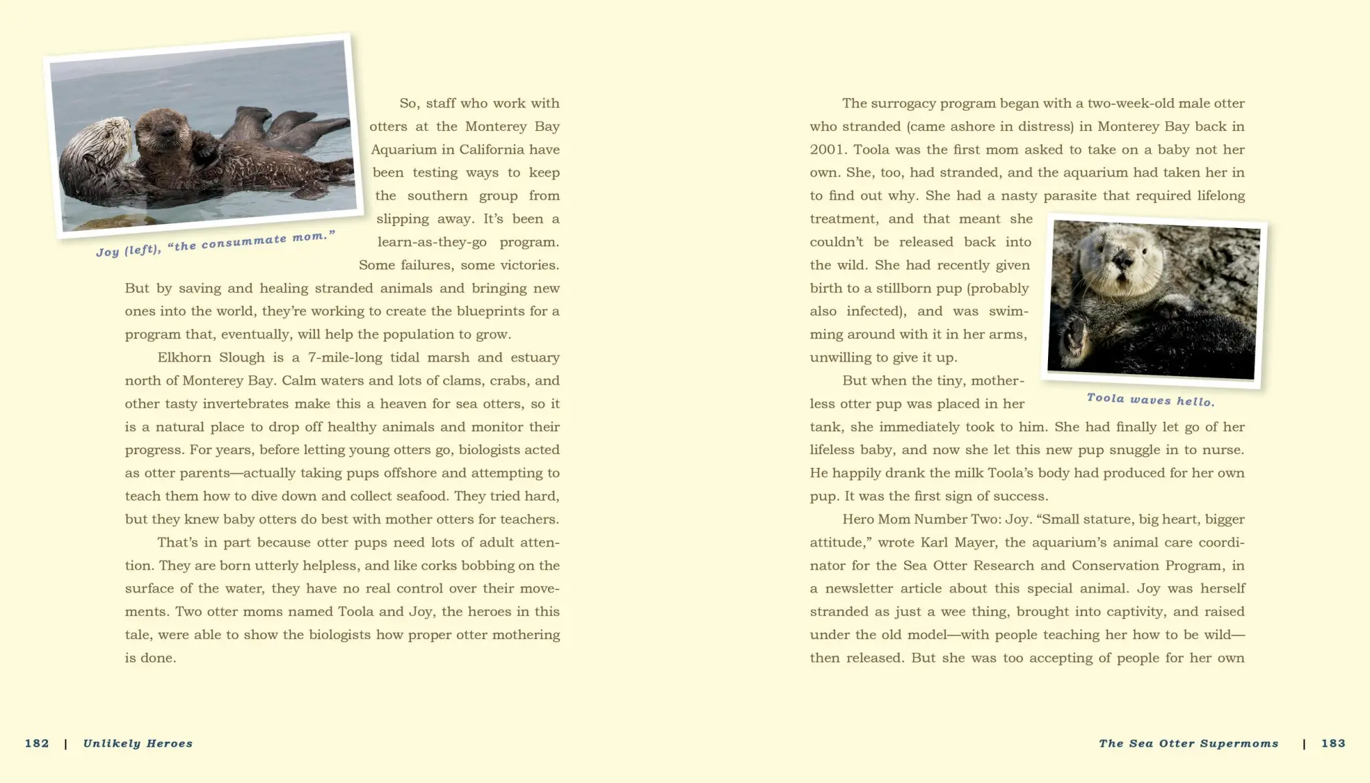 Bild: 9780761174417 | Unlikely Heroes | Jennifer S Holland | Taschenbuch | Englisch | 2014