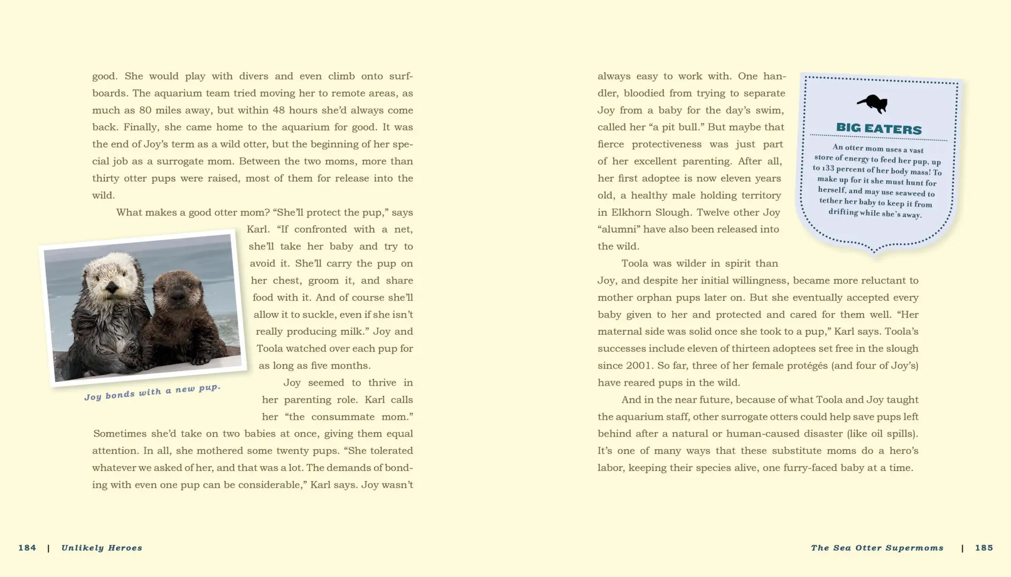 Bild: 9780761174417 | Unlikely Heroes | Jennifer S Holland | Taschenbuch | Englisch | 2014