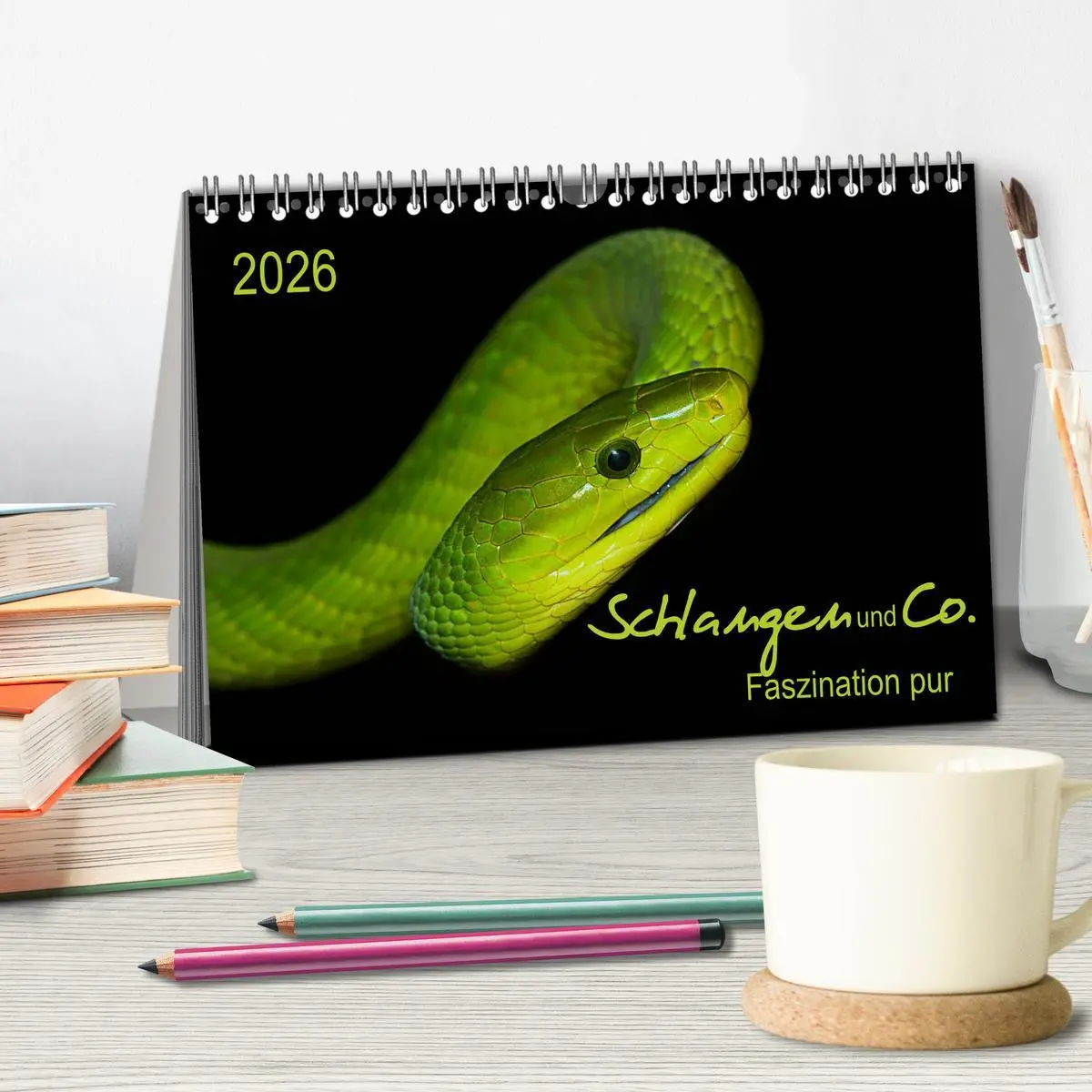 Bild: 9783516034417 | Schlangen und Co. - Faszination pur (Tischkalender 2026 DIN A5...