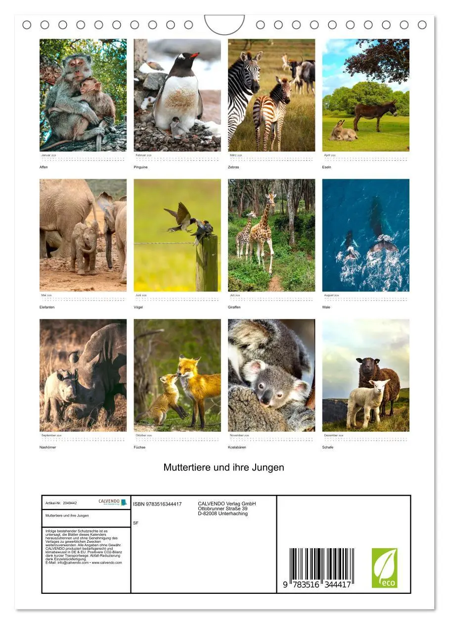 Bild: 9783516344417 | Muttertiere und ihre Jungen (Wandkalender 2026 DIN A4 hoch),...